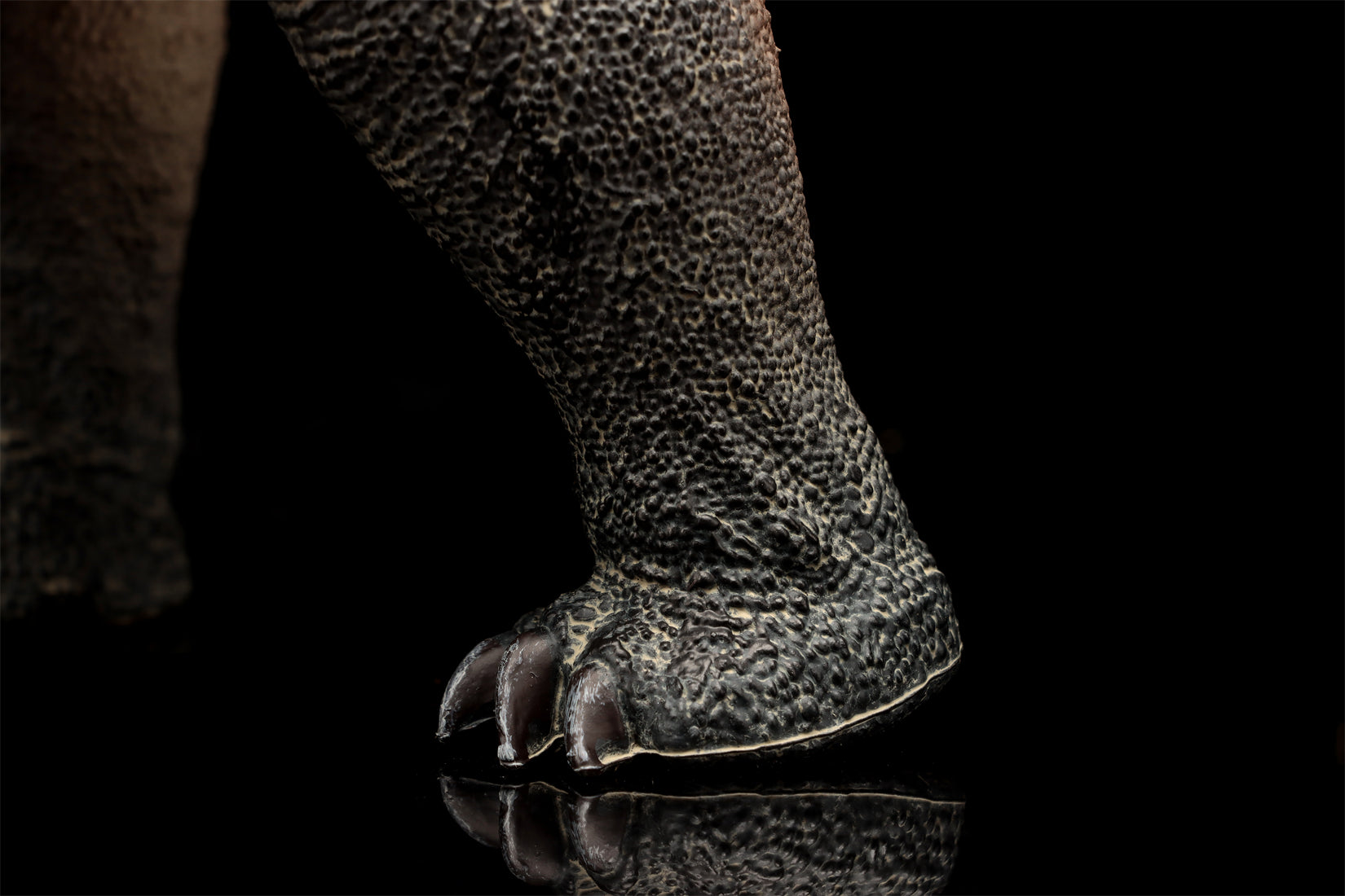 HAOLONGGOOD 1:35 Scale Argentinosaurus Model