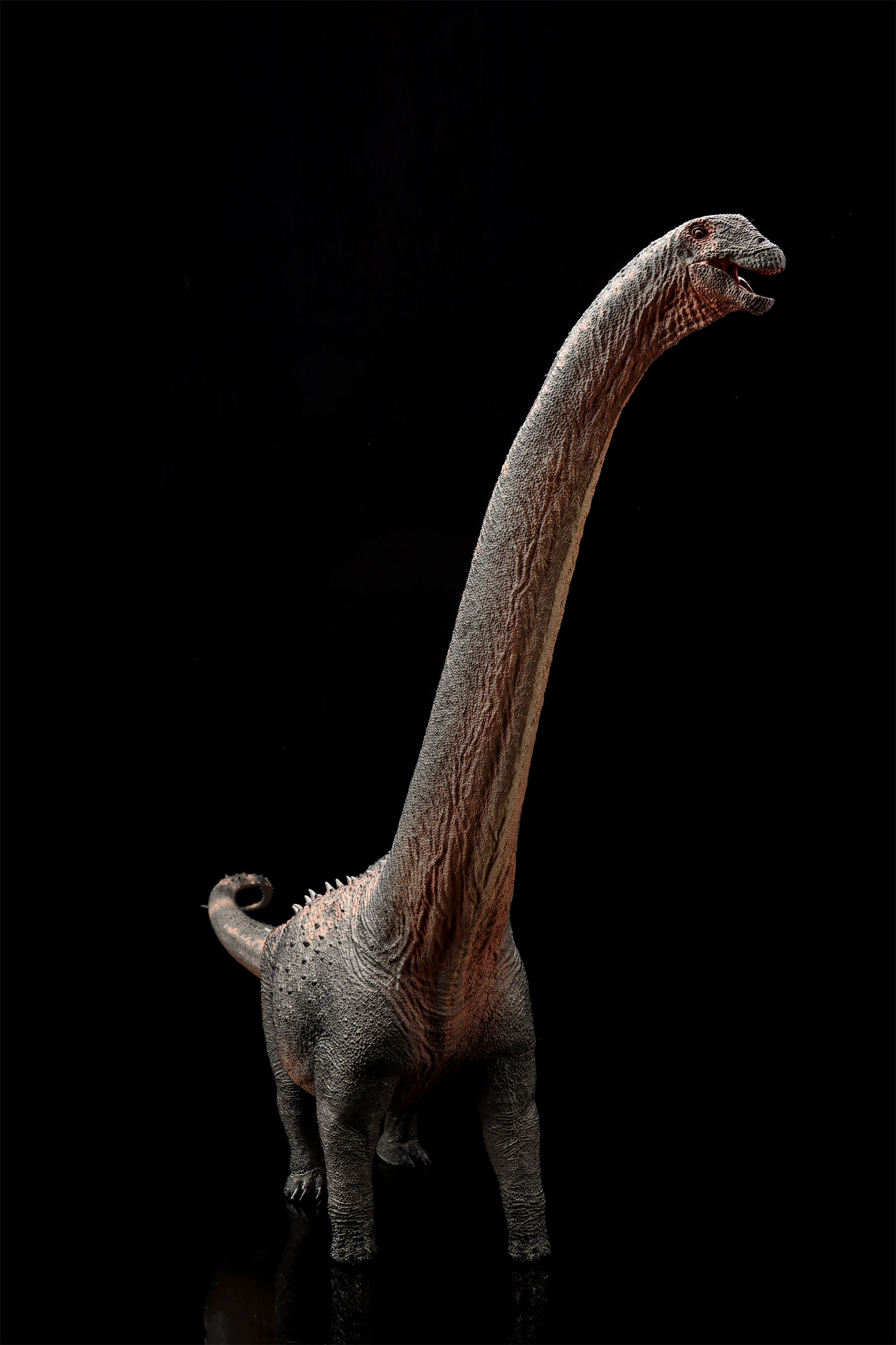 HAOLONGGOOD 1:35 Scale Argentinosaurus Model