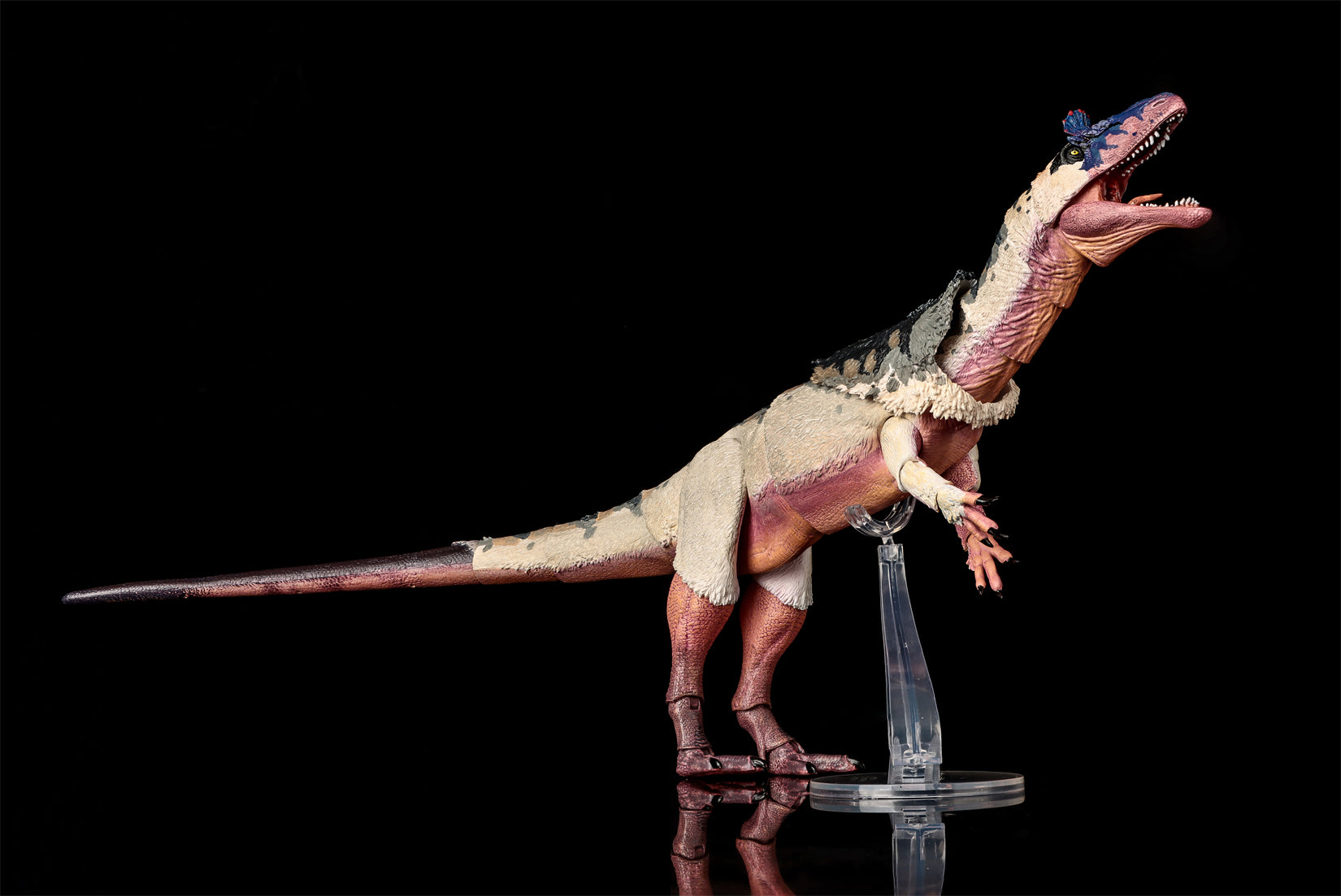 Beasts of the Mesozoic Cryolophosaurus ellioti – 1/18th scale action figure