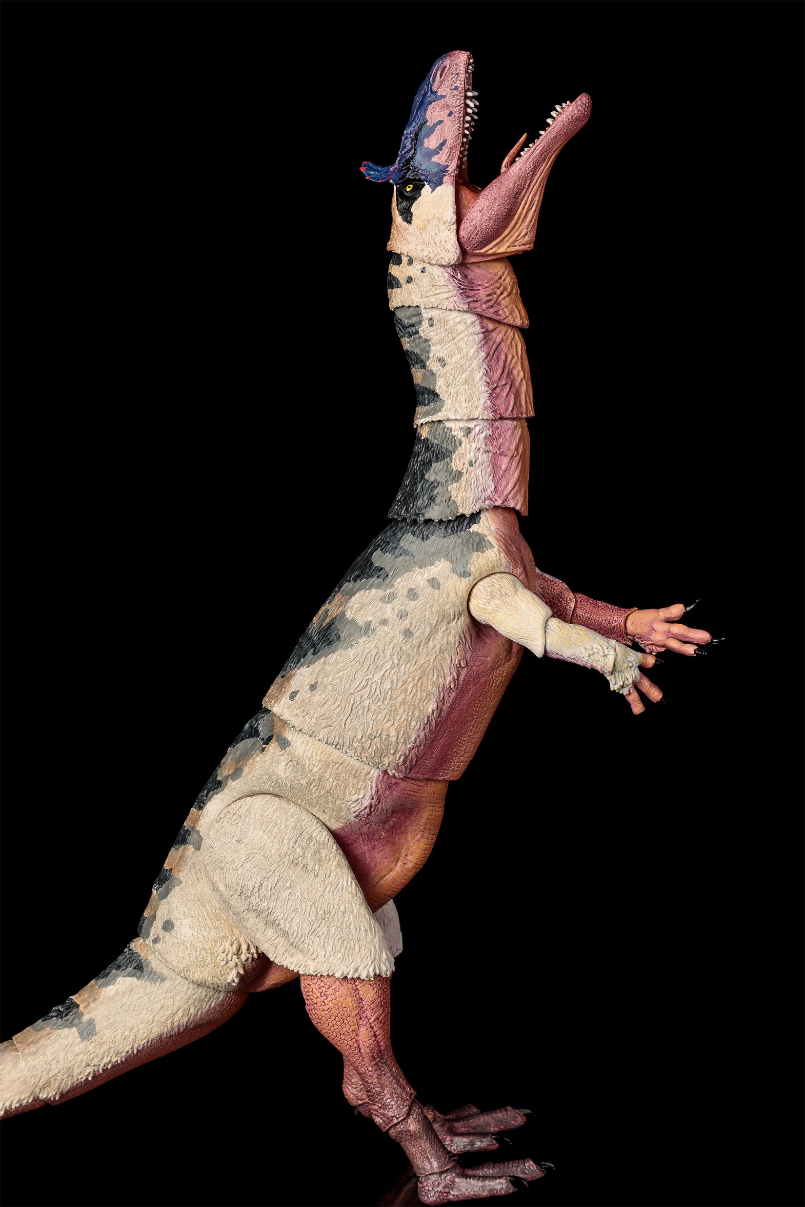 Beasts of the Mesozoic Cryolophosaurus ellioti – 1/18th scale action figure