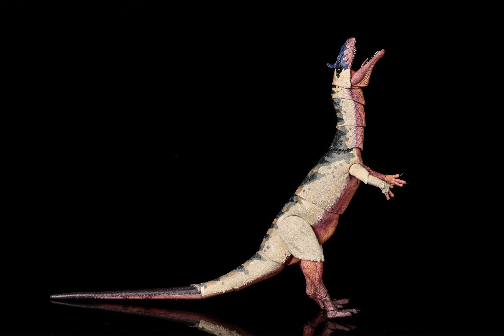 Beasts of the Mesozoic Cryolophosaurus ellioti – 1/18th scale action figure