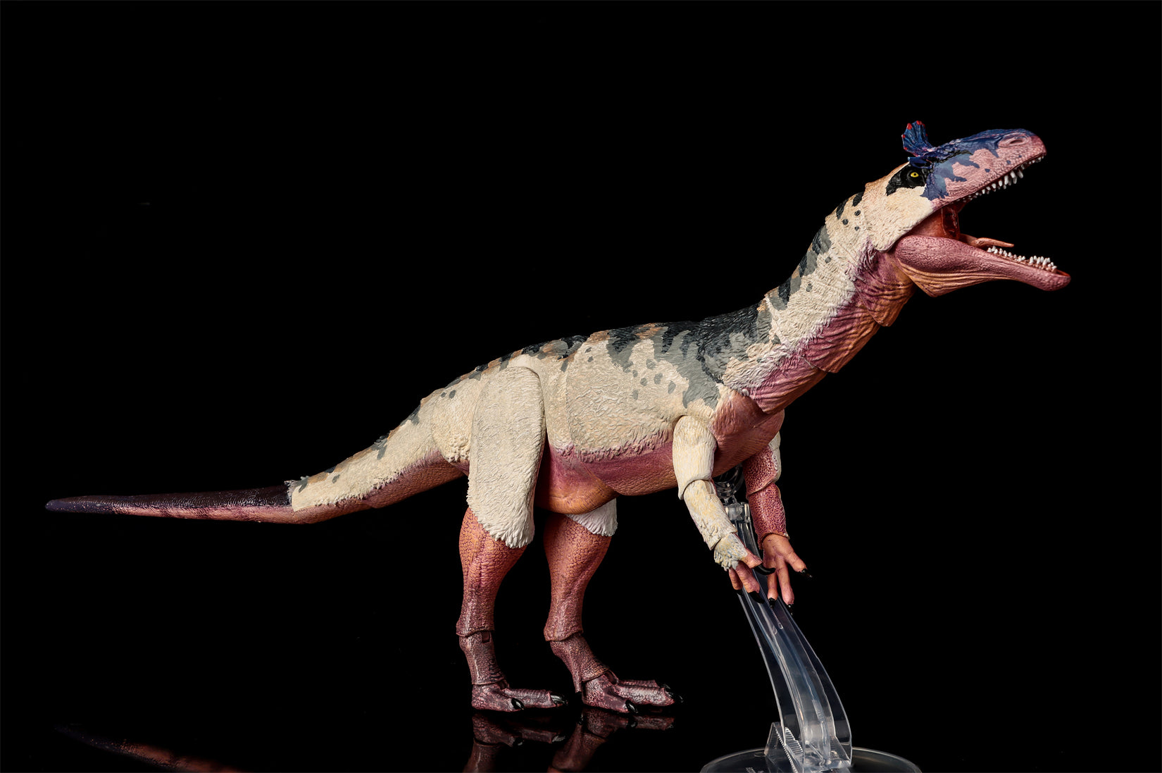 Beasts of the Mesozoic Cryolophosaurus ellioti – 1/18th scale action figure