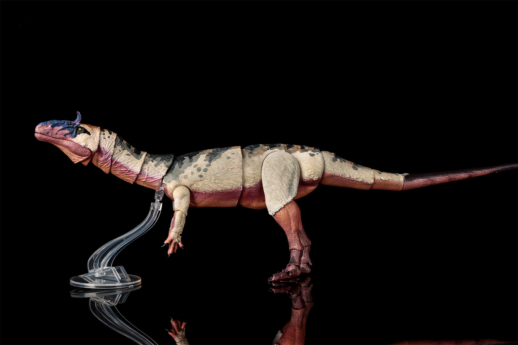 Beasts of the Mesozoic Cryolophosaurus ellioti – 1/18th scale action figure