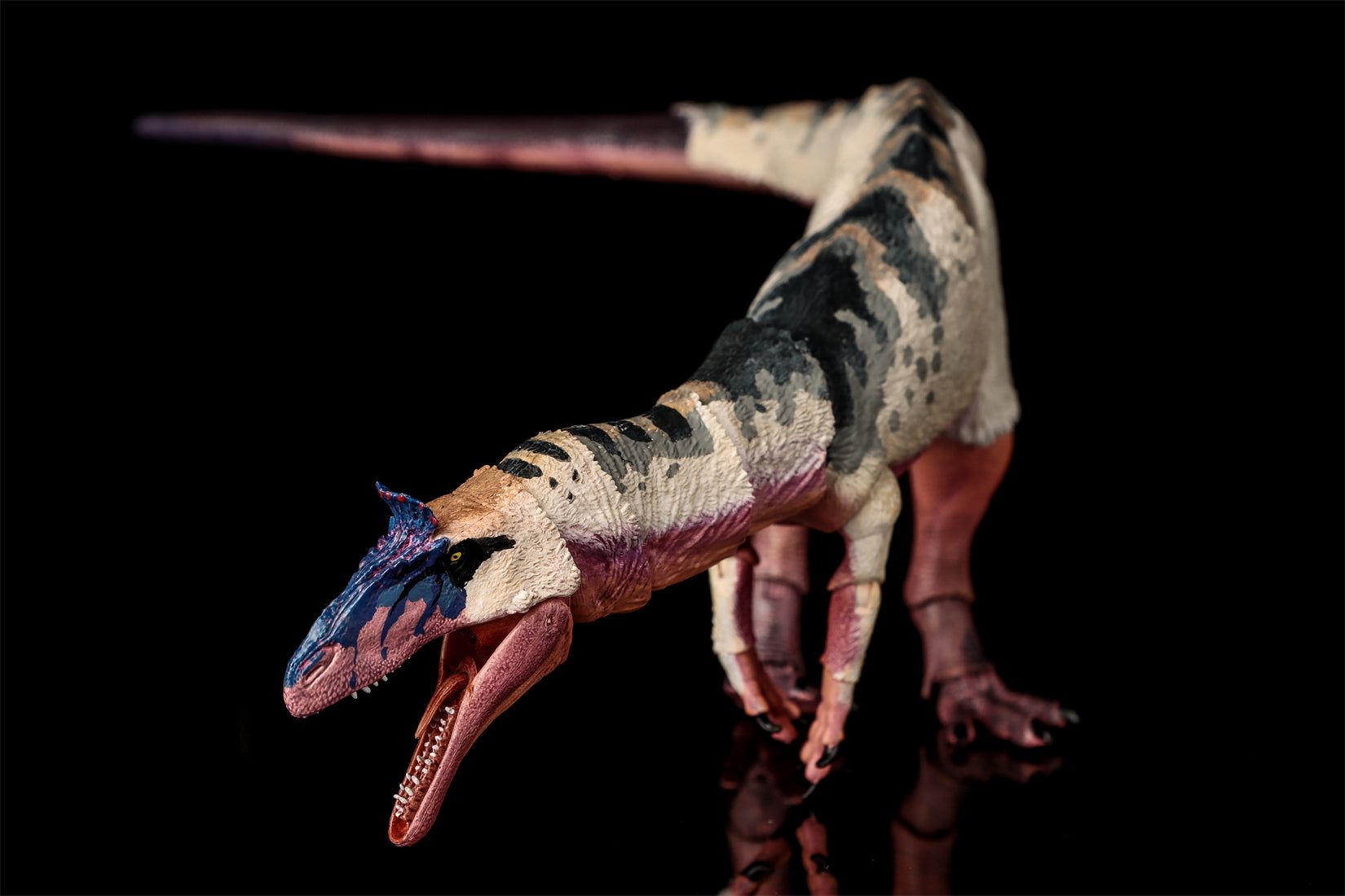 Beasts of the Mesozoic Cryolophosaurus ellioti – 1/18th scale action figure