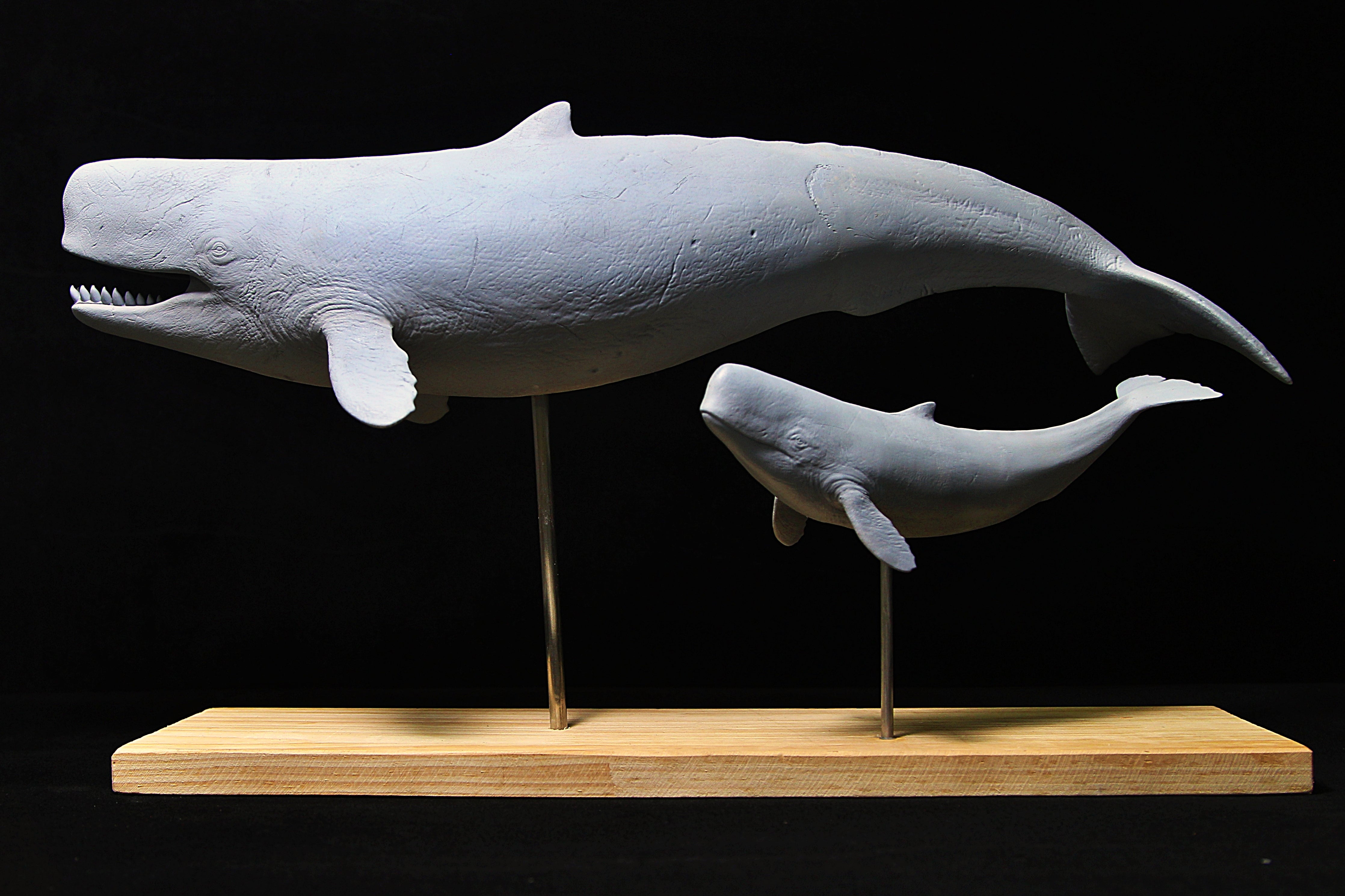 De CLAY Studio 1/35 Scale Livyatan melvillei Statue