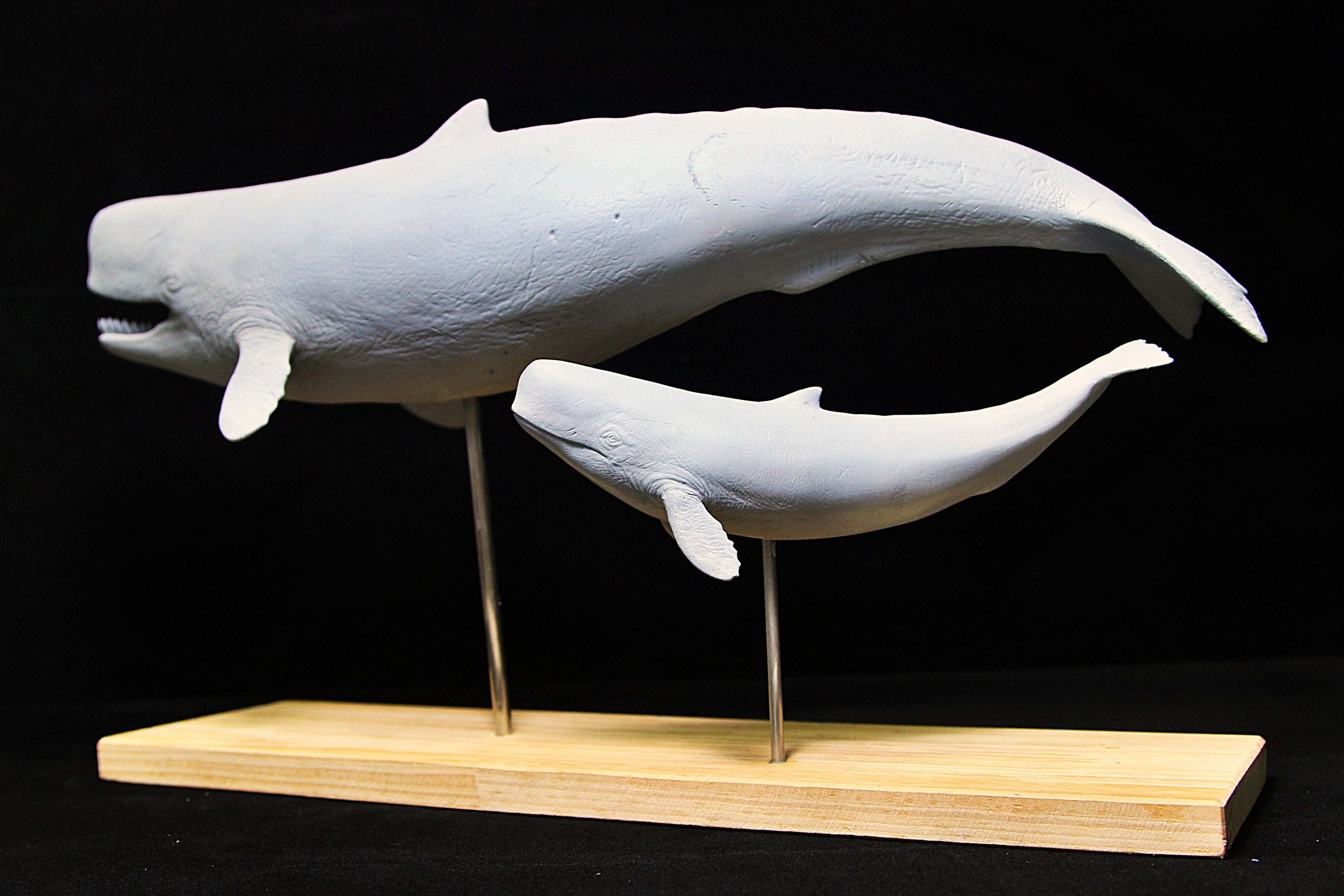 De CLAY Studio 1/35 Scale Livyatan melvillei Statue