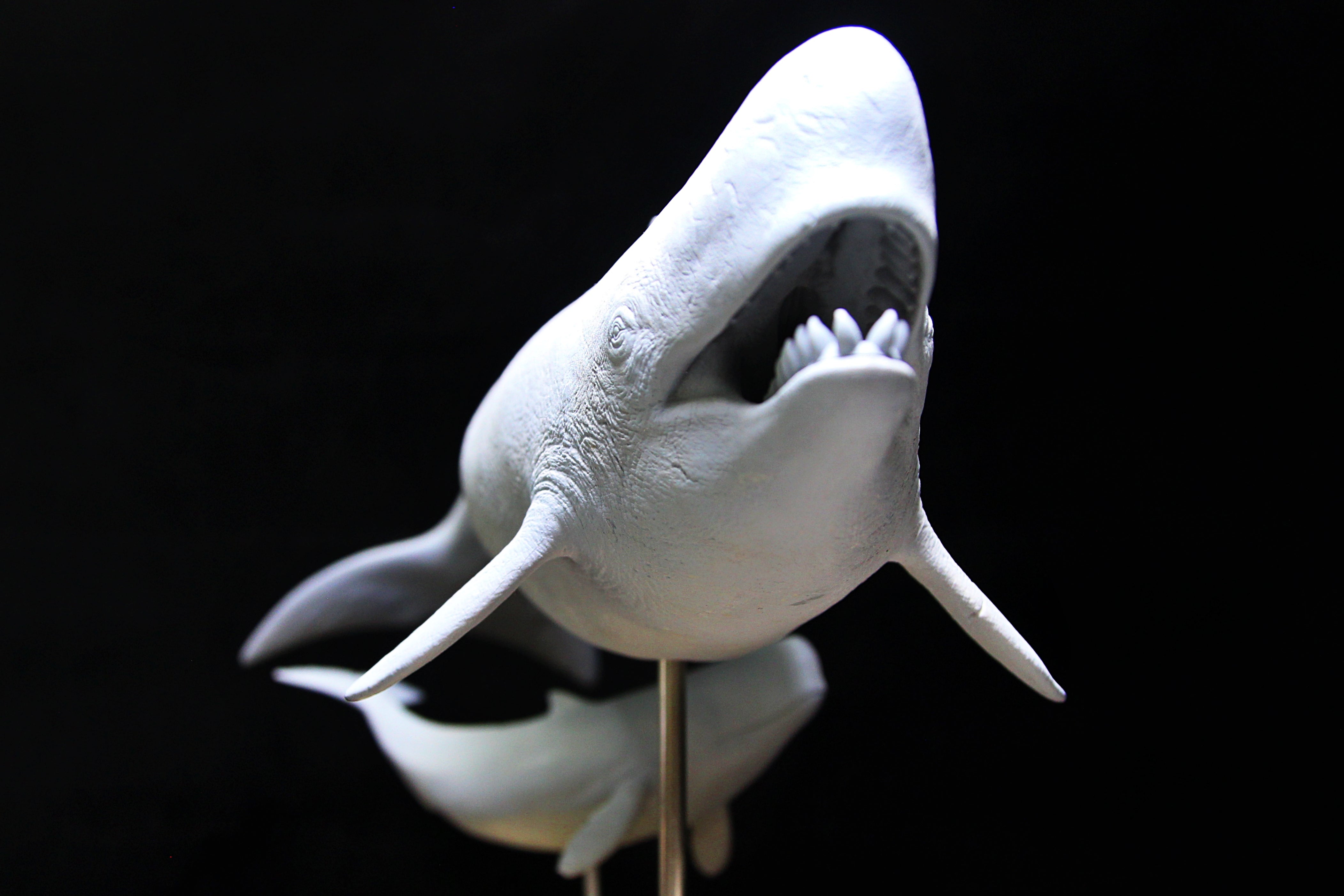 De CLAY Studio 1/35 Scale Livyatan melvillei Statue