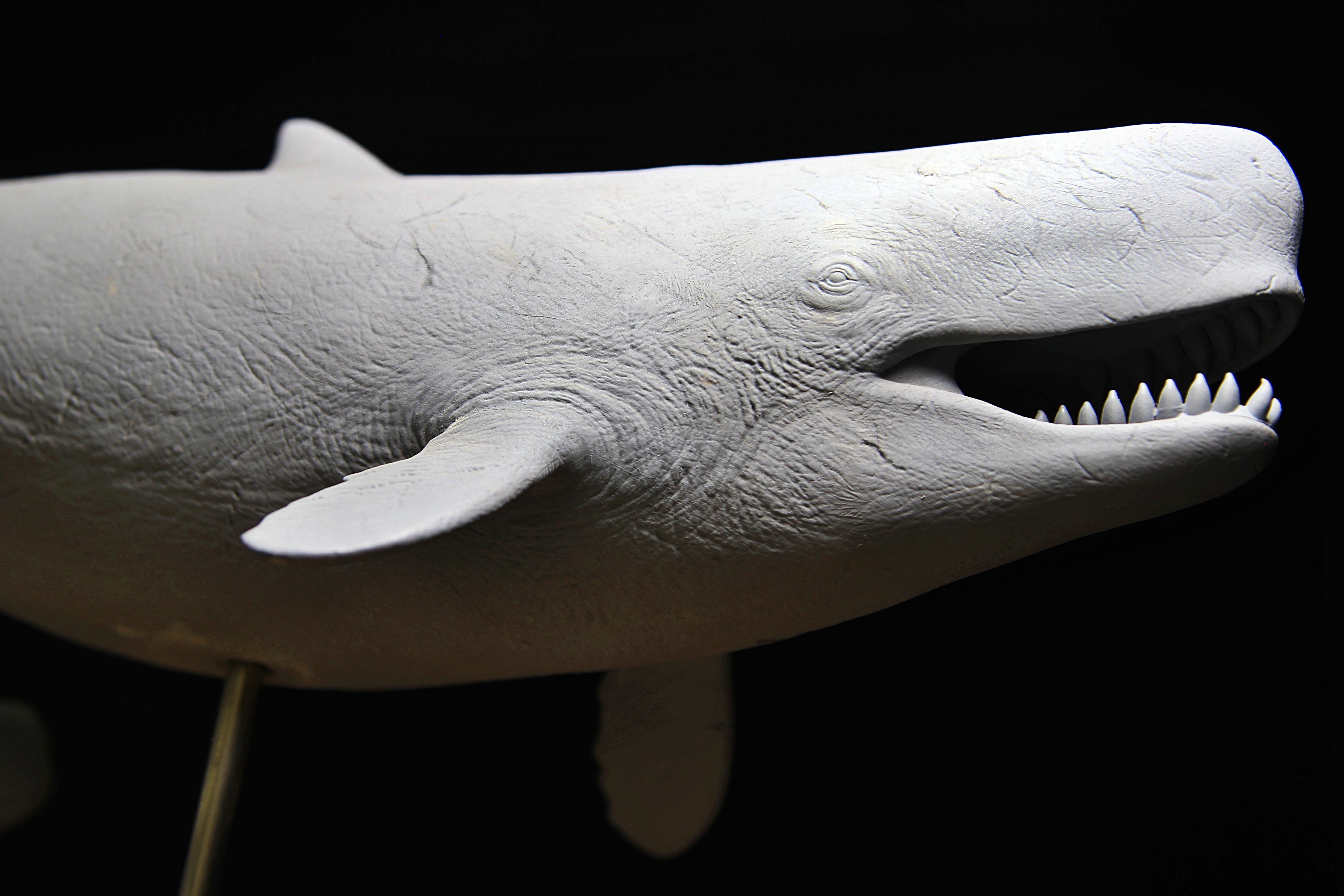 De CLAY Studio 1/35 Scale Livyatan melvillei Statue