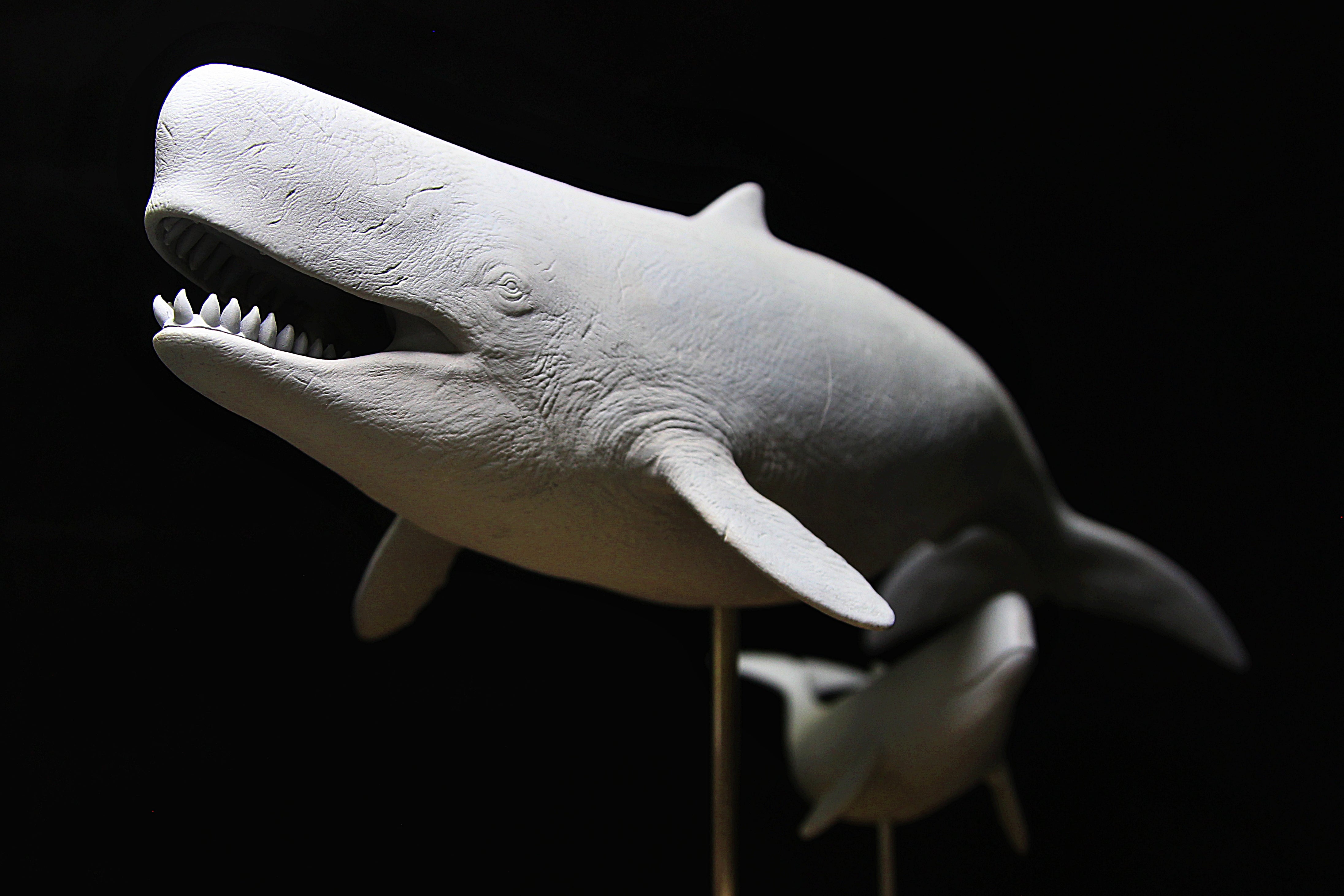 De CLAY Studio 1/35 Scale Livyatan melvillei Statue