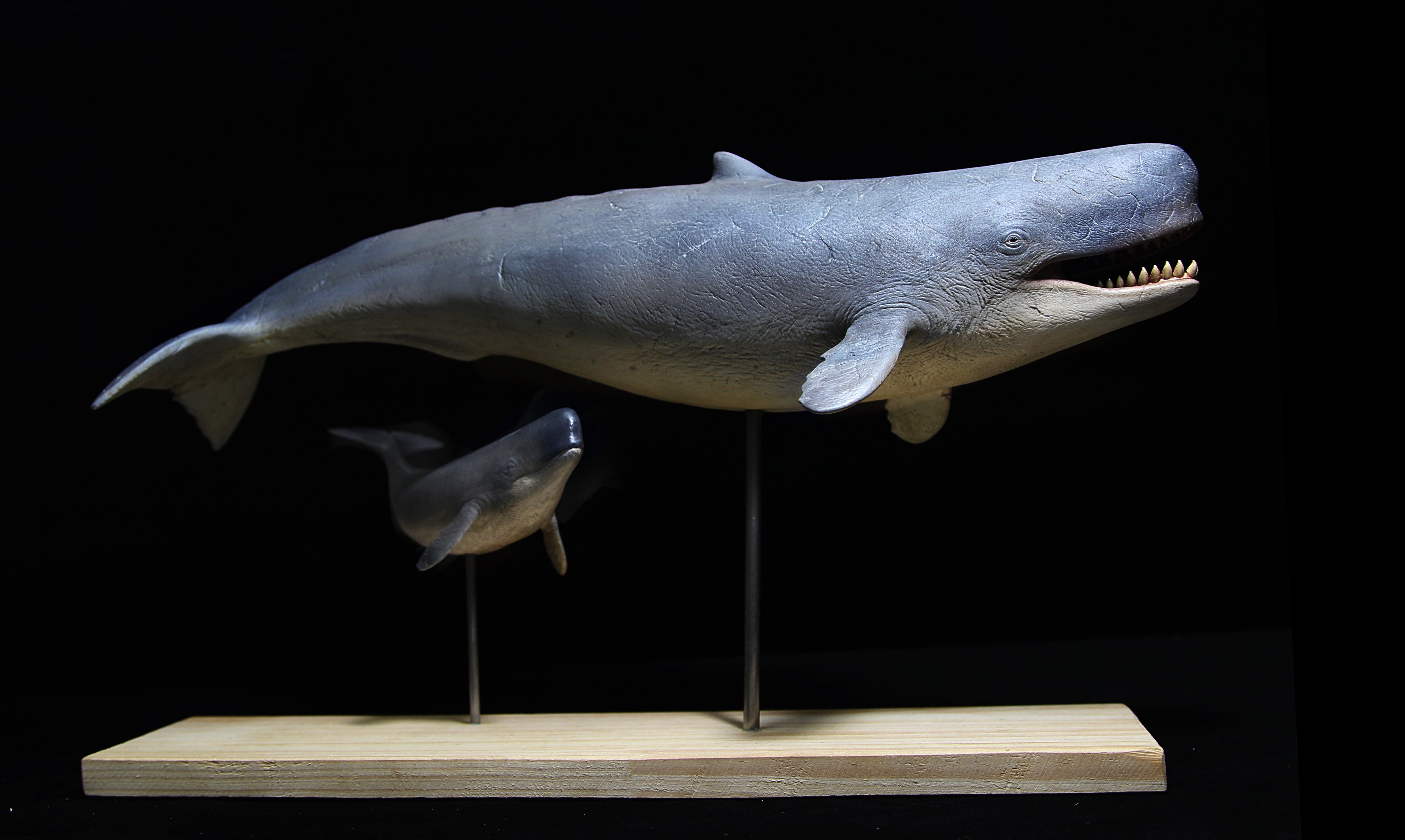 De CLAY Studio 1/35 Scale Livyatan melvillei Statue
