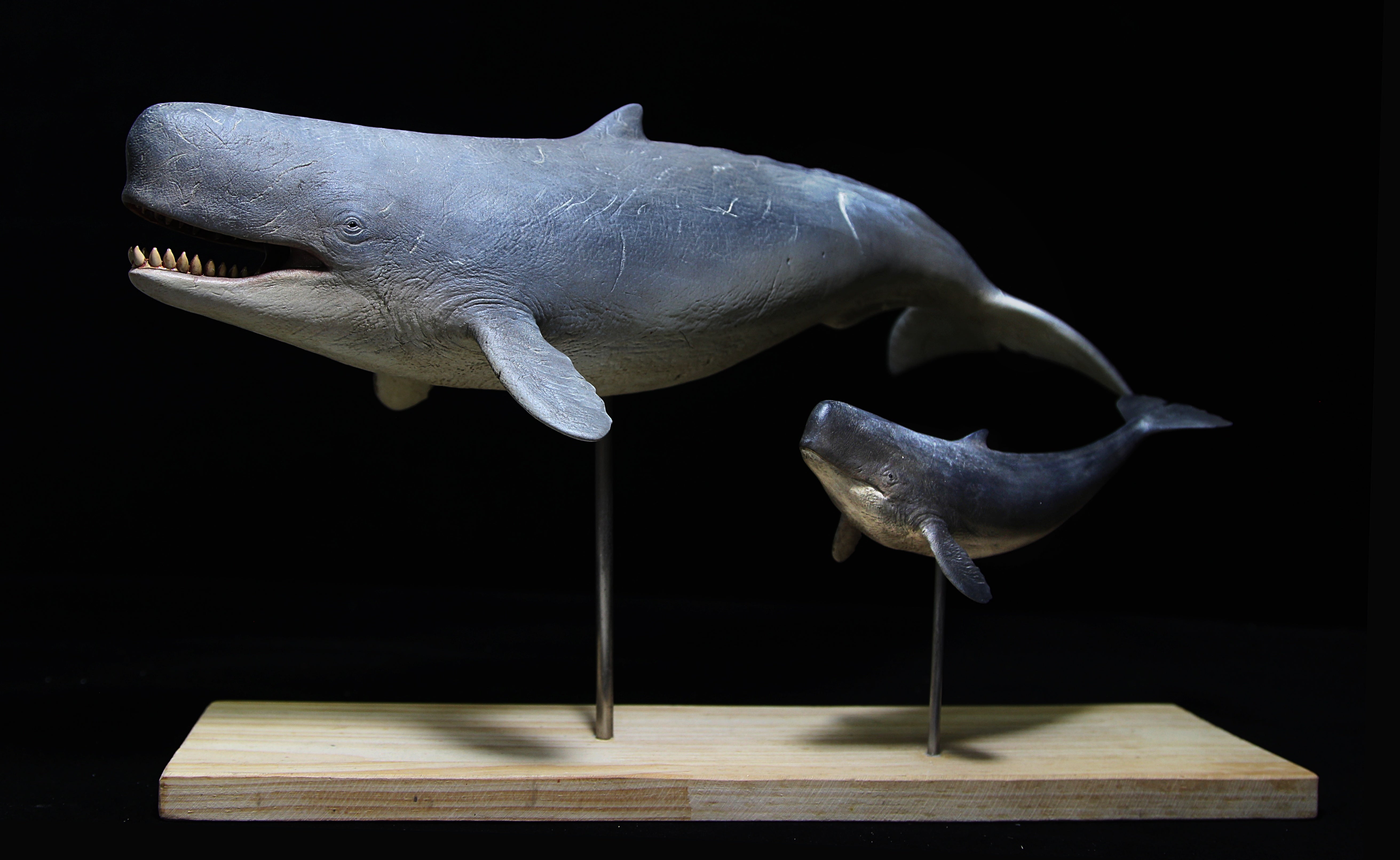 De CLAY Studio 1/35 Scale Livyatan melvillei Statue