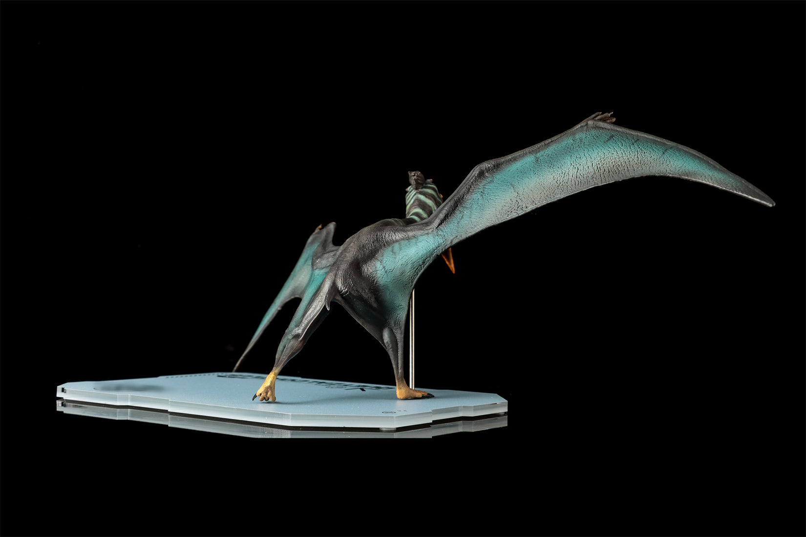 DINO DREAM 1:30 Scale Quetzalcoatlus Model