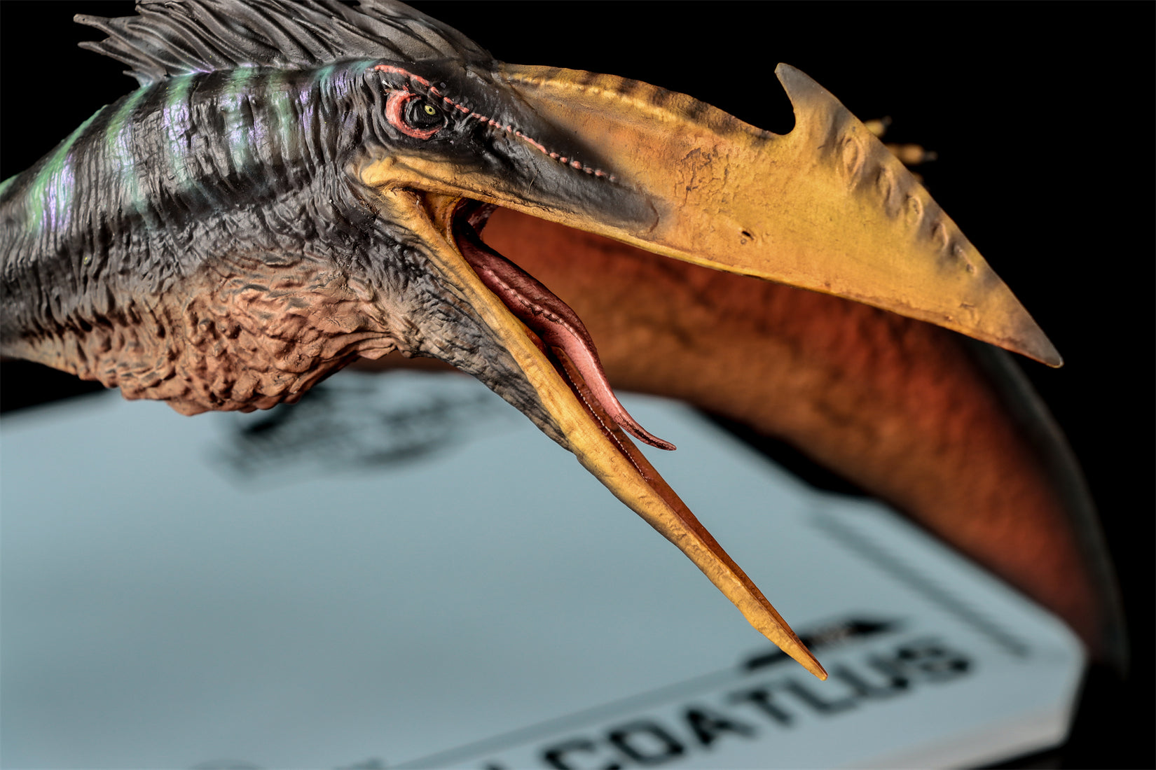 DINO DREAM 1:30 Scale Quetzalcoatlus Model