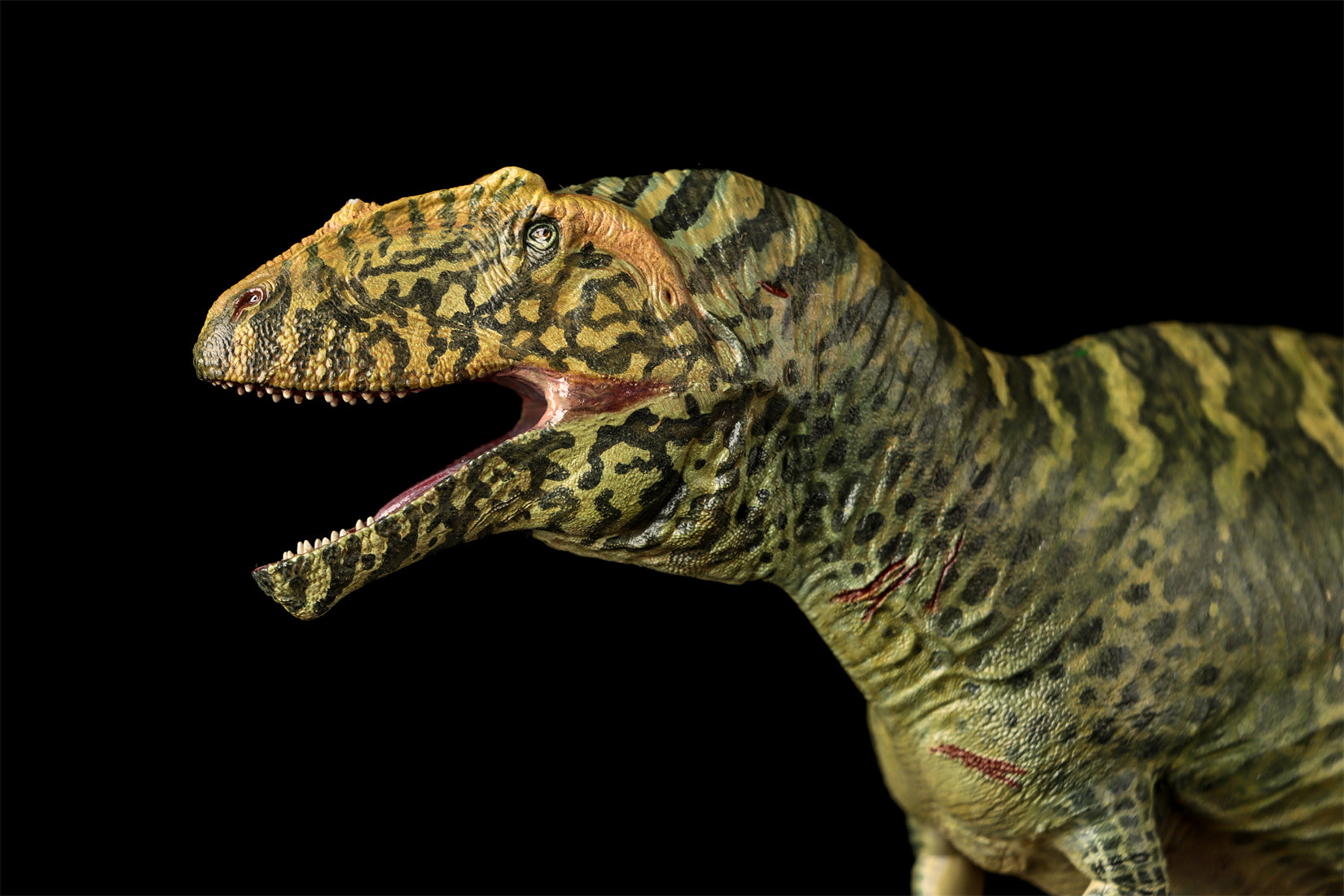 LANATIMESHOP 1/35 Scale Tameryraptor markgrafi Samira Model