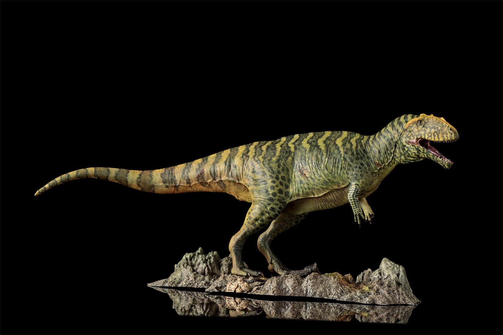LANATIMESHOP 1/35 Scale Tameryraptor markgrafi Samira Model