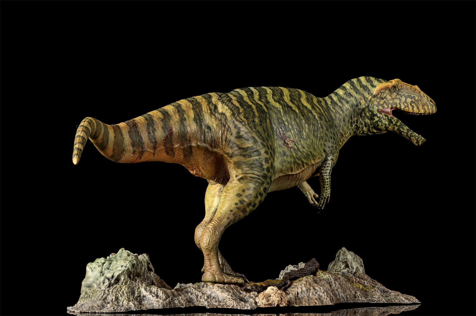 LANATIMESHOP 1/35 Scale Tameryraptor markgrafi Samira Model