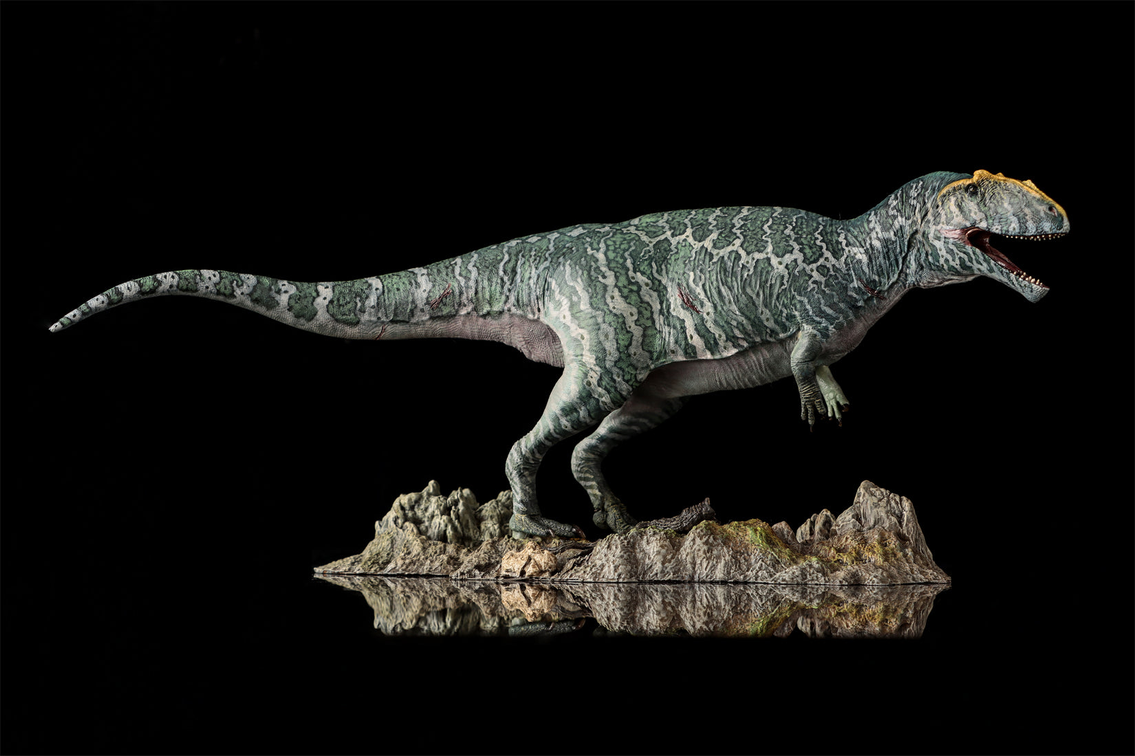 LANATIMESHOP 1/35 Scale Tameryraptor markgrafi Samira Model