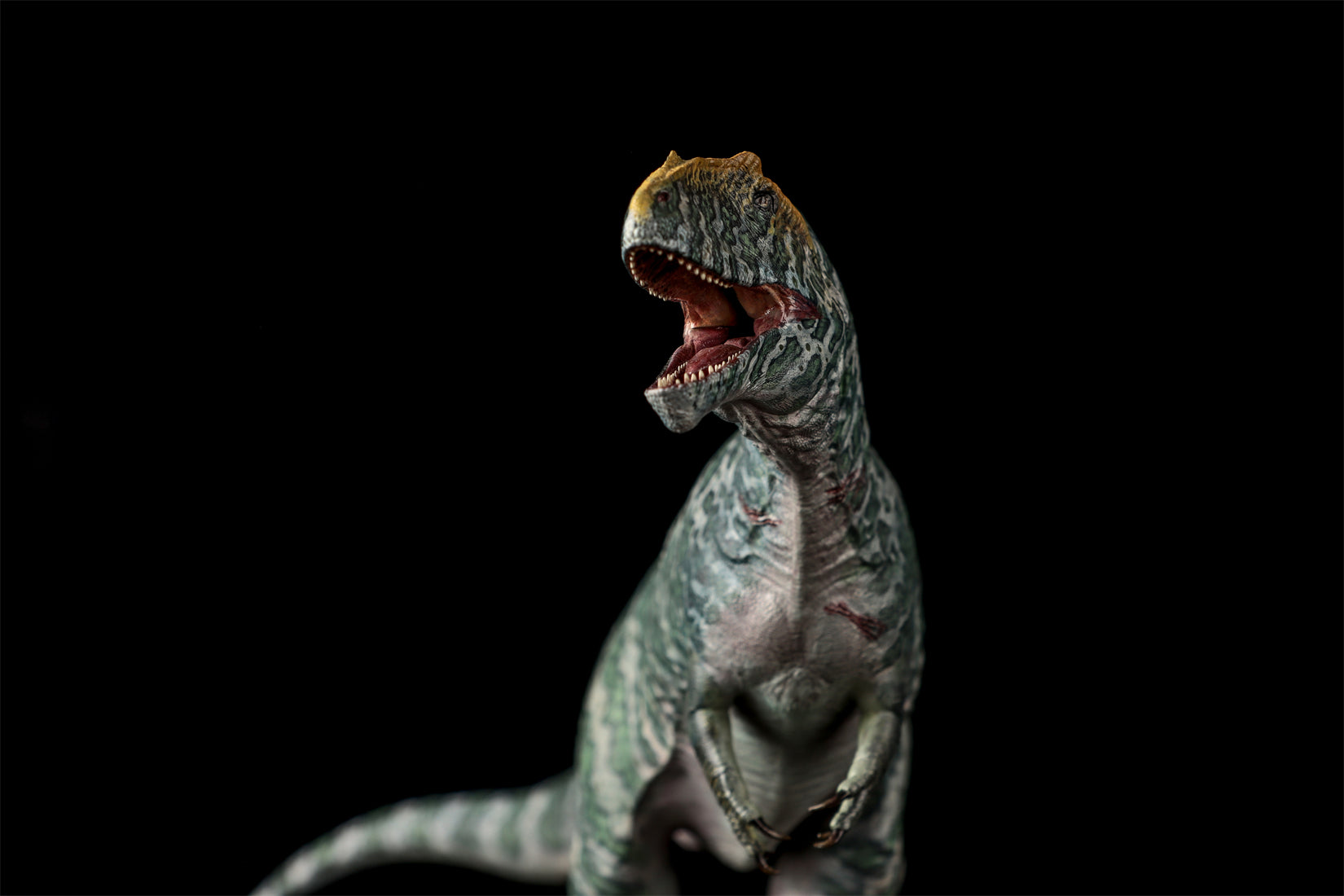 LANATIMESHOP 1/35 Scale Tameryraptor markgrafi Samira Model