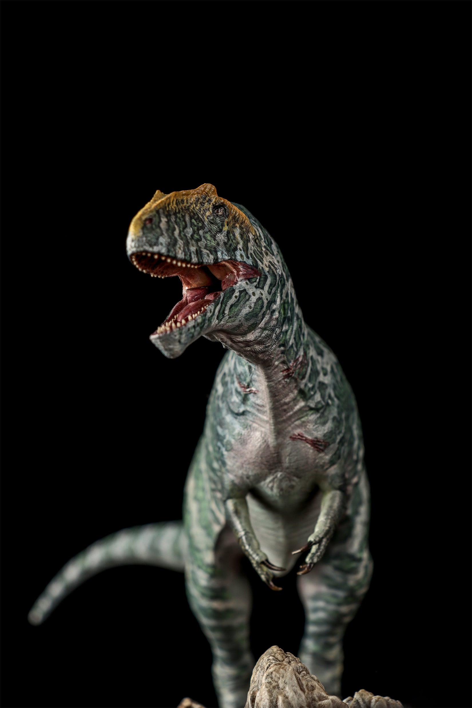 LANATIMESHOP 1/35 Scale Tameryraptor markgrafi Samira Model