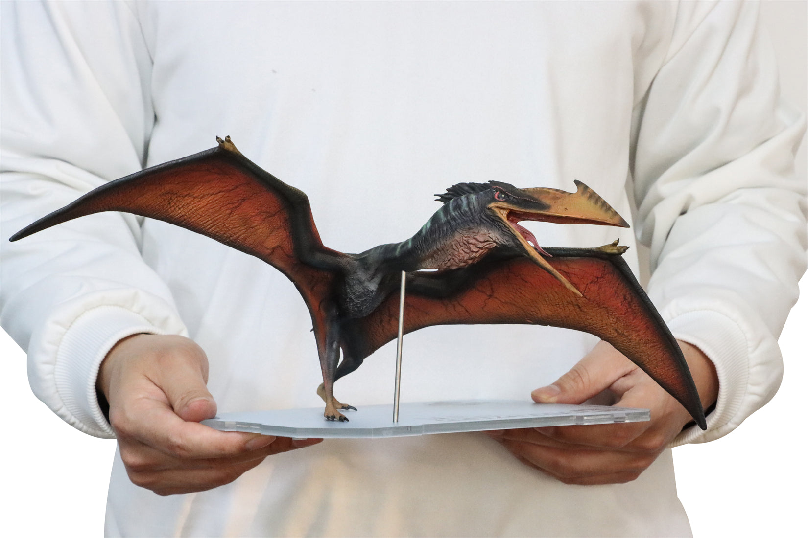 DINO DREAM 1:30 Scale Quetzalcoatlus Model