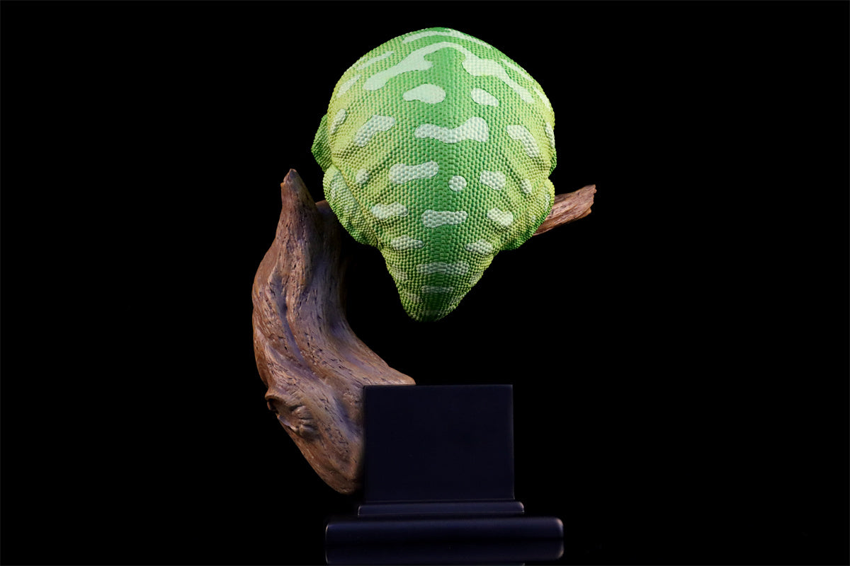 Wall lizard Plus Limited Model