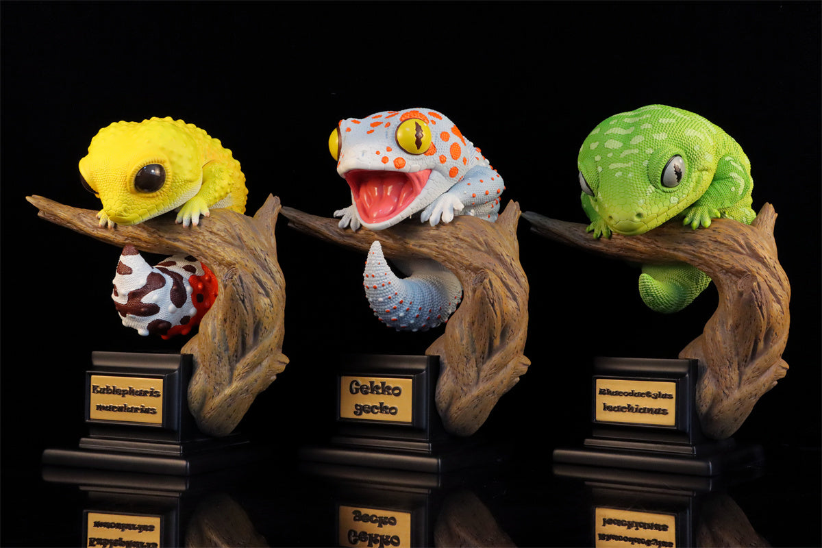 Wall lizard Plus Limited Model