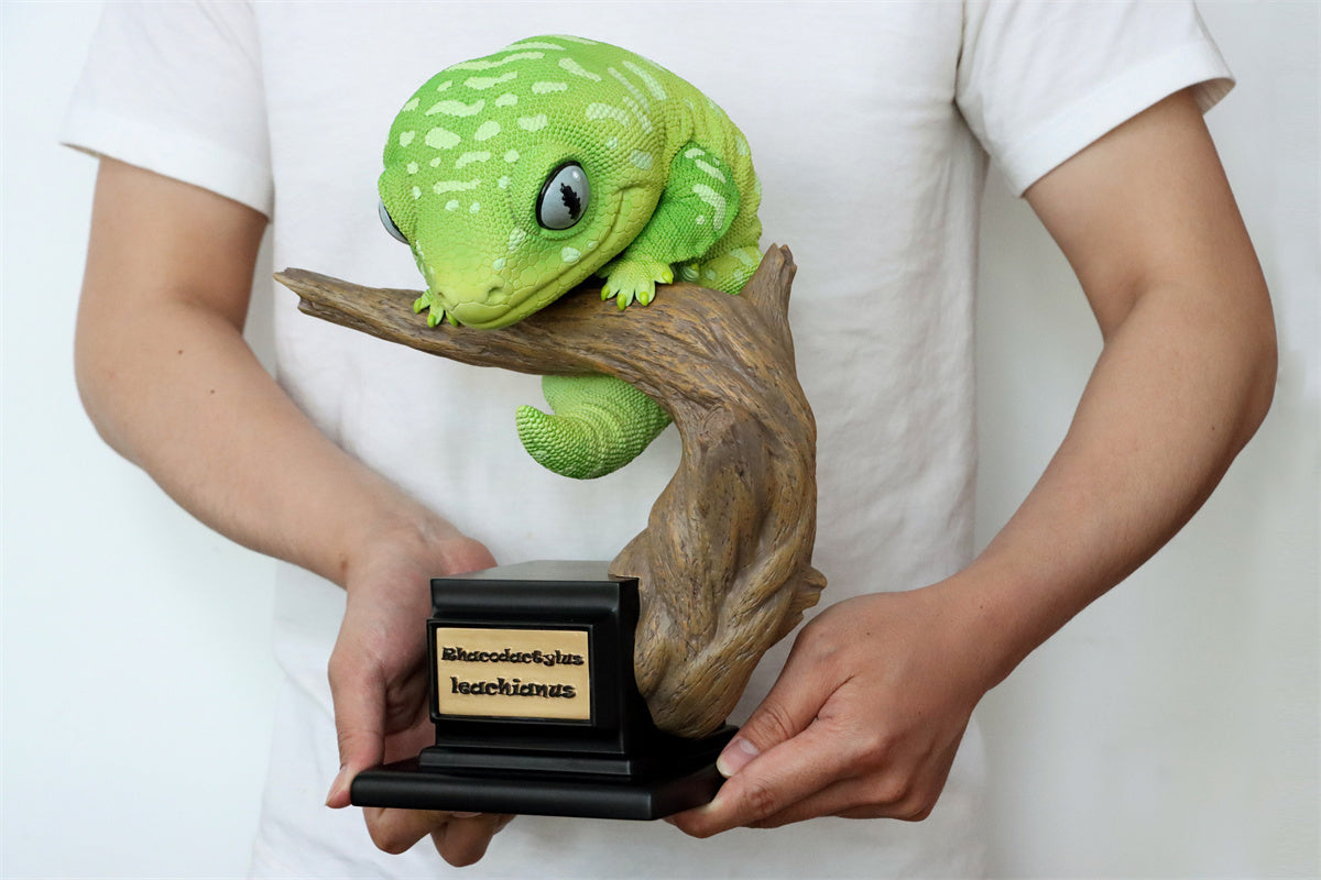 Wall lizard Plus Limited Model