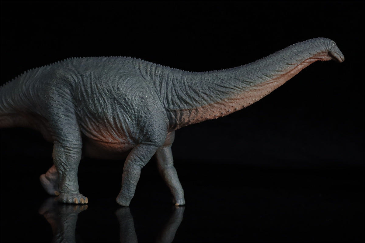 HAOLONGGOOD 1:35 Scale Apatosaurus Model