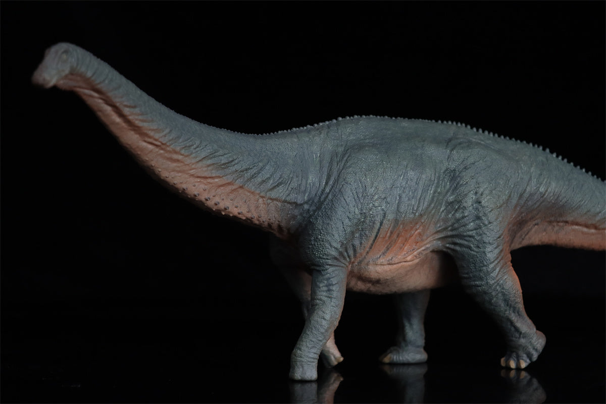 HAOLONGGOOD 1:35 Scale Apatosaurus Model