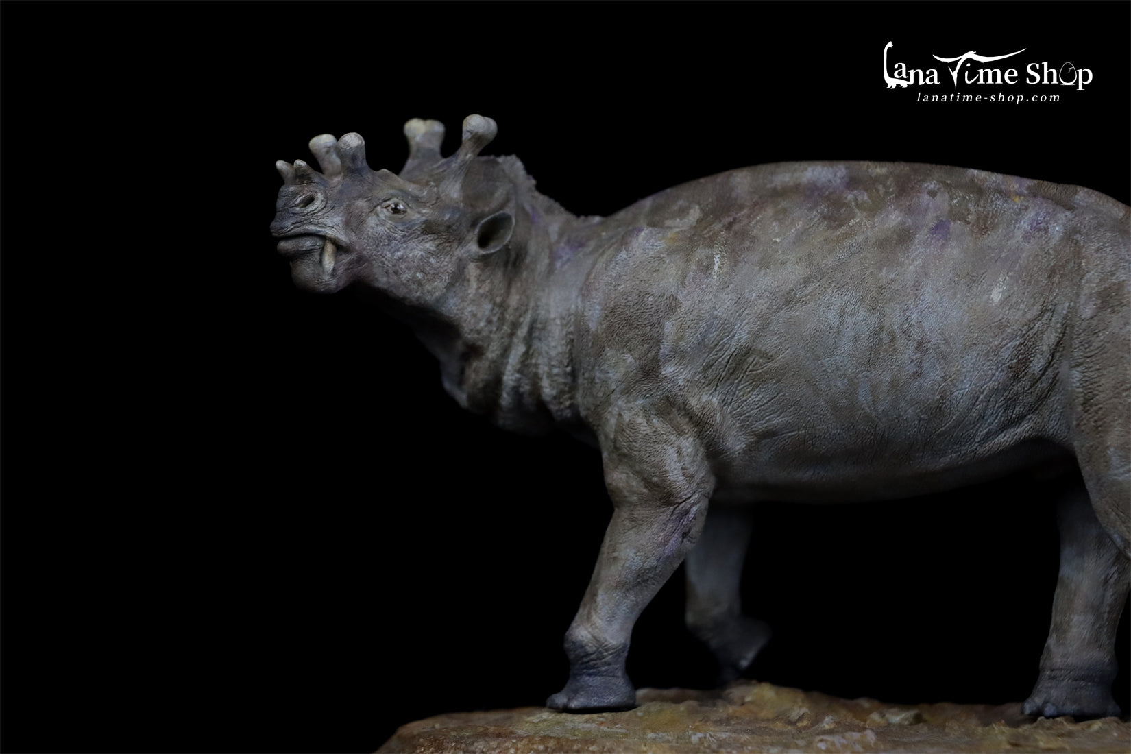 LANATIMESHOP Uintatherium Hank Model