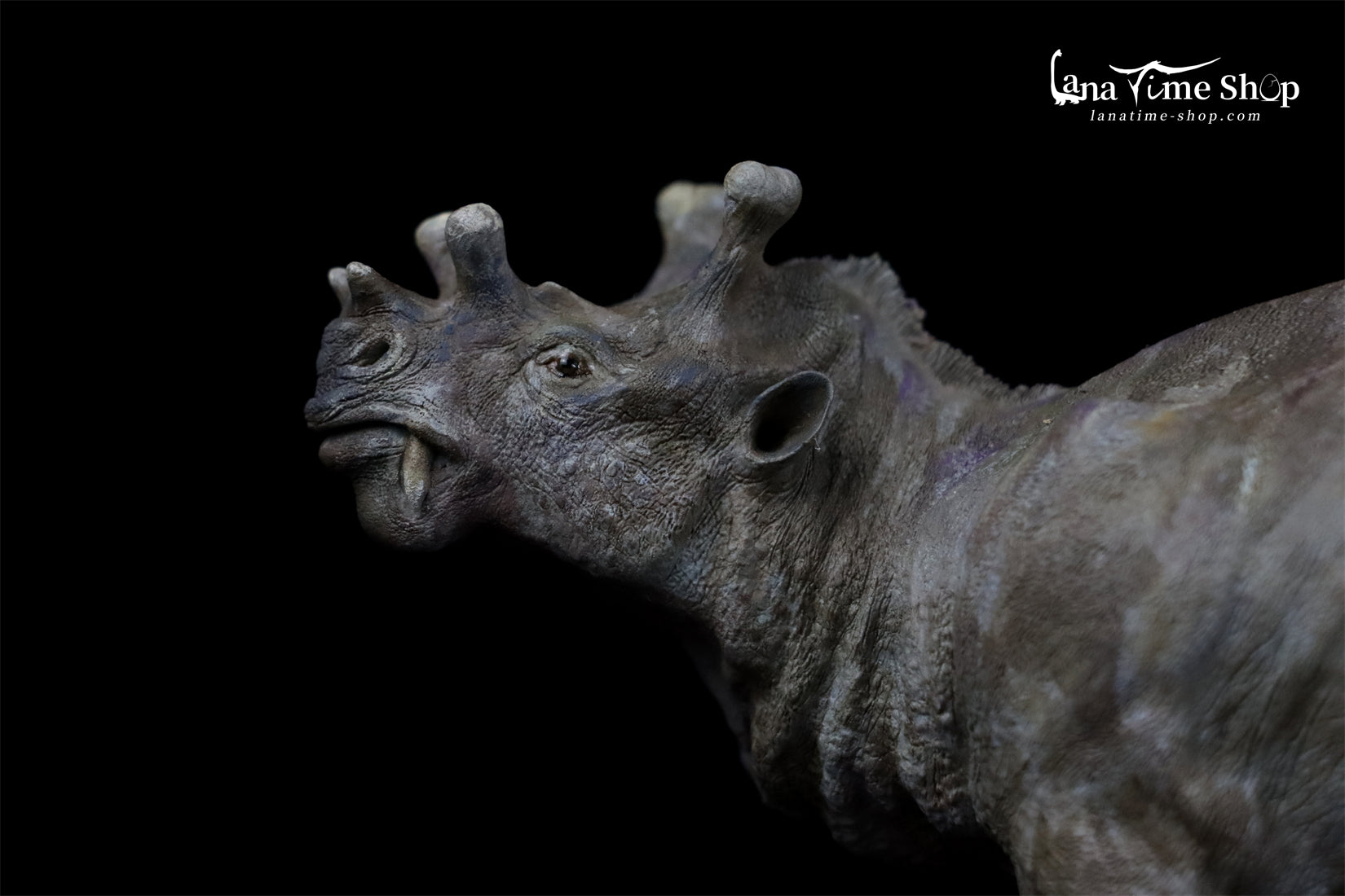 LANATIMESHOP Uintatherium Hank Model