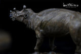 LANATIMESHOP Uintatherium Hank Model