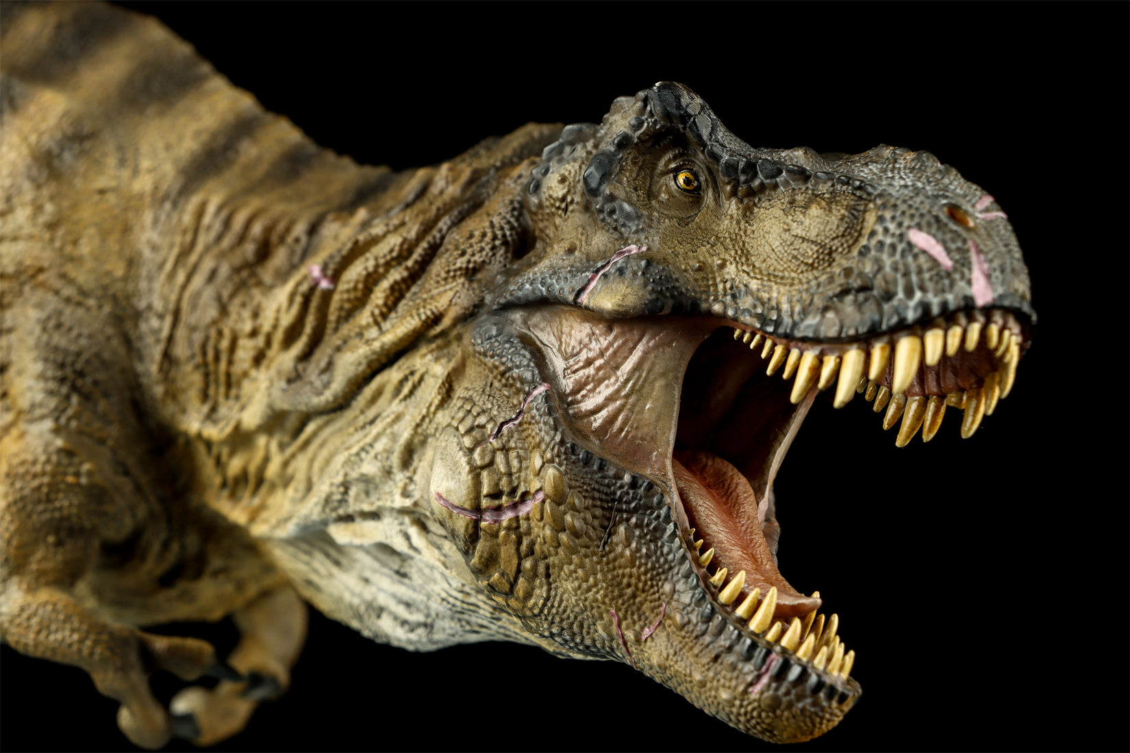 DINO DREAM 1:30 Scale JW4 Tyrannosaurus Rex Model