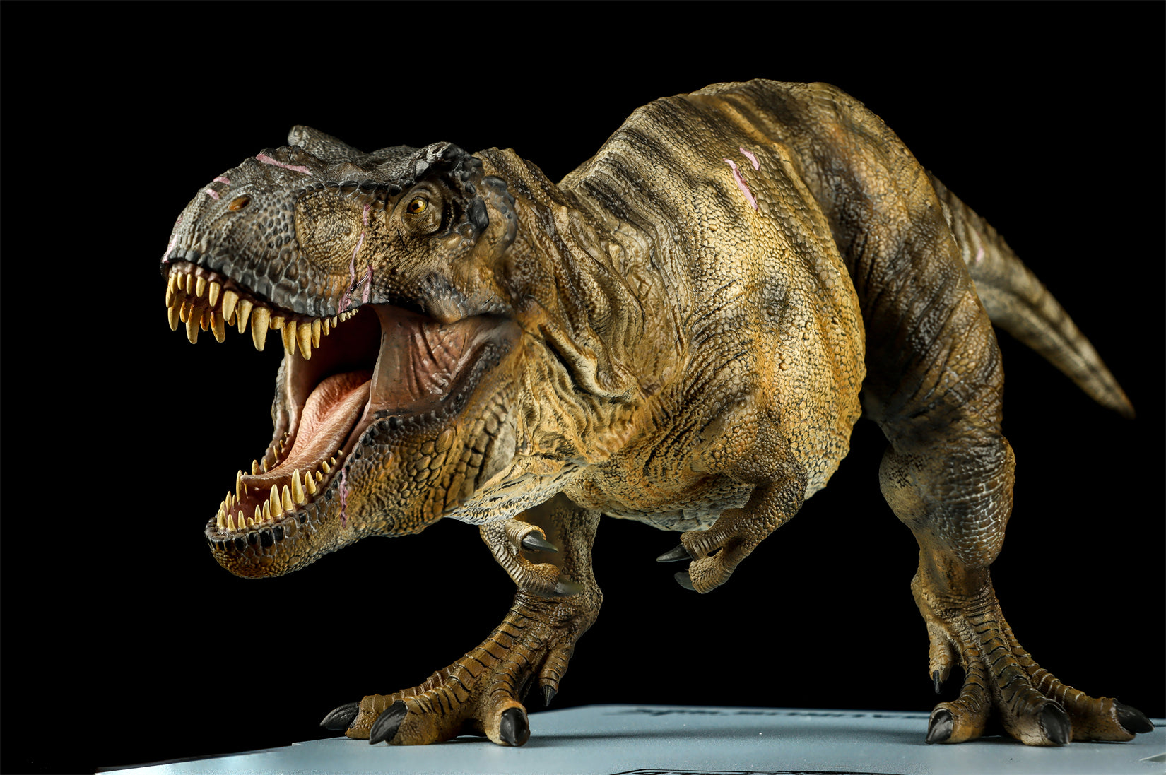 DINO DREAM 1:30 Scale JW4 Tyrannosaurus Rex Model