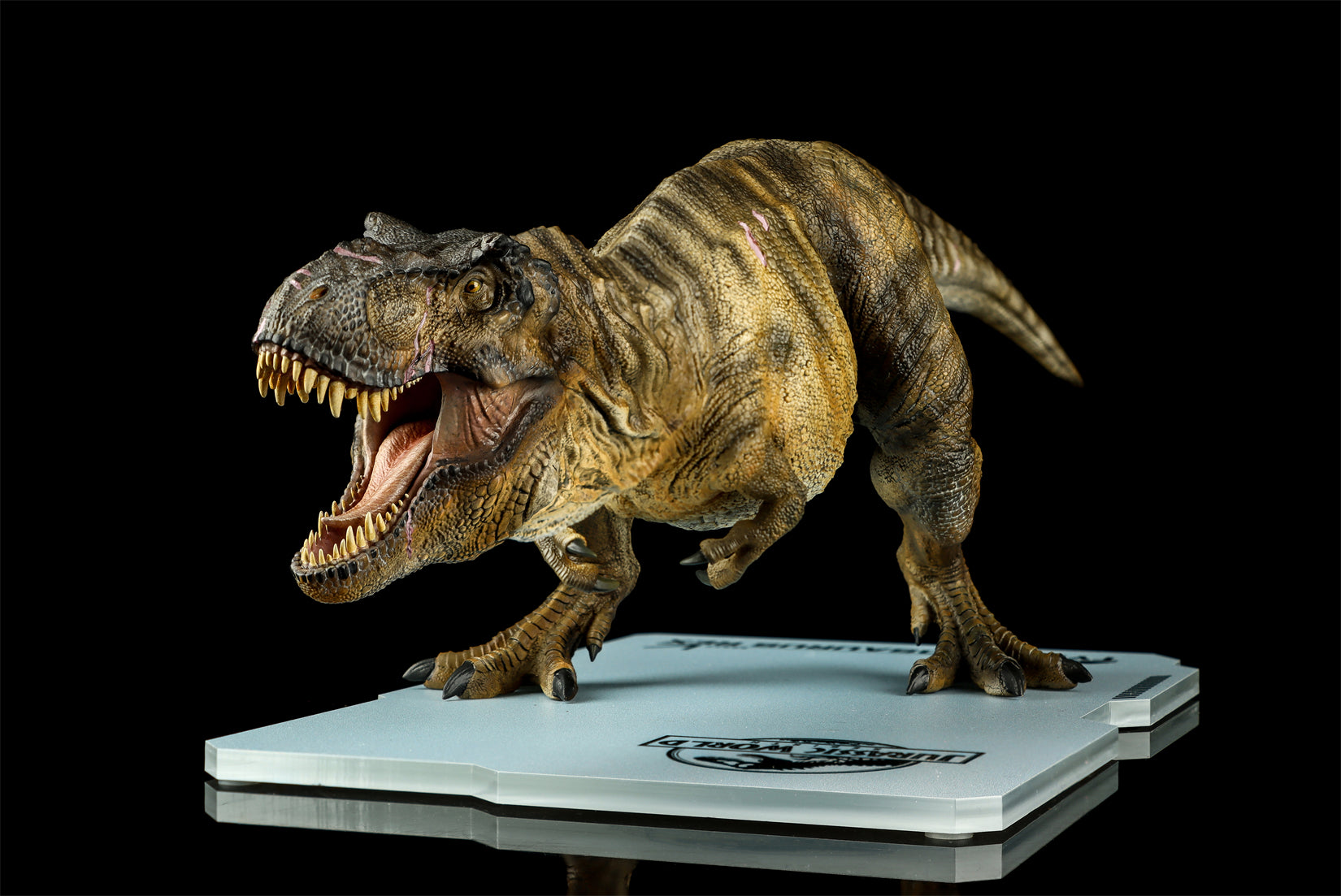 DINO DREAM 1:30 Scale JW4 Tyrannosaurus Rex Model