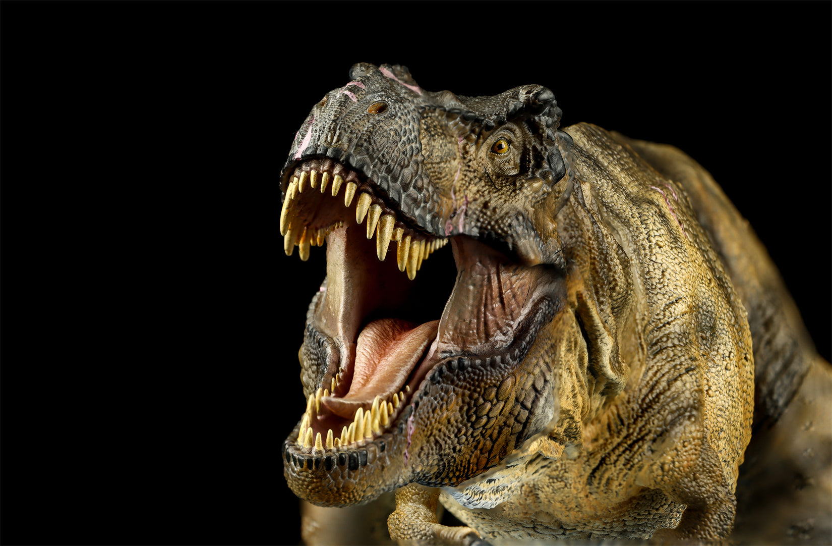DINO DREAM 1:30 Scale JW4 Tyrannosaurus Rex Model