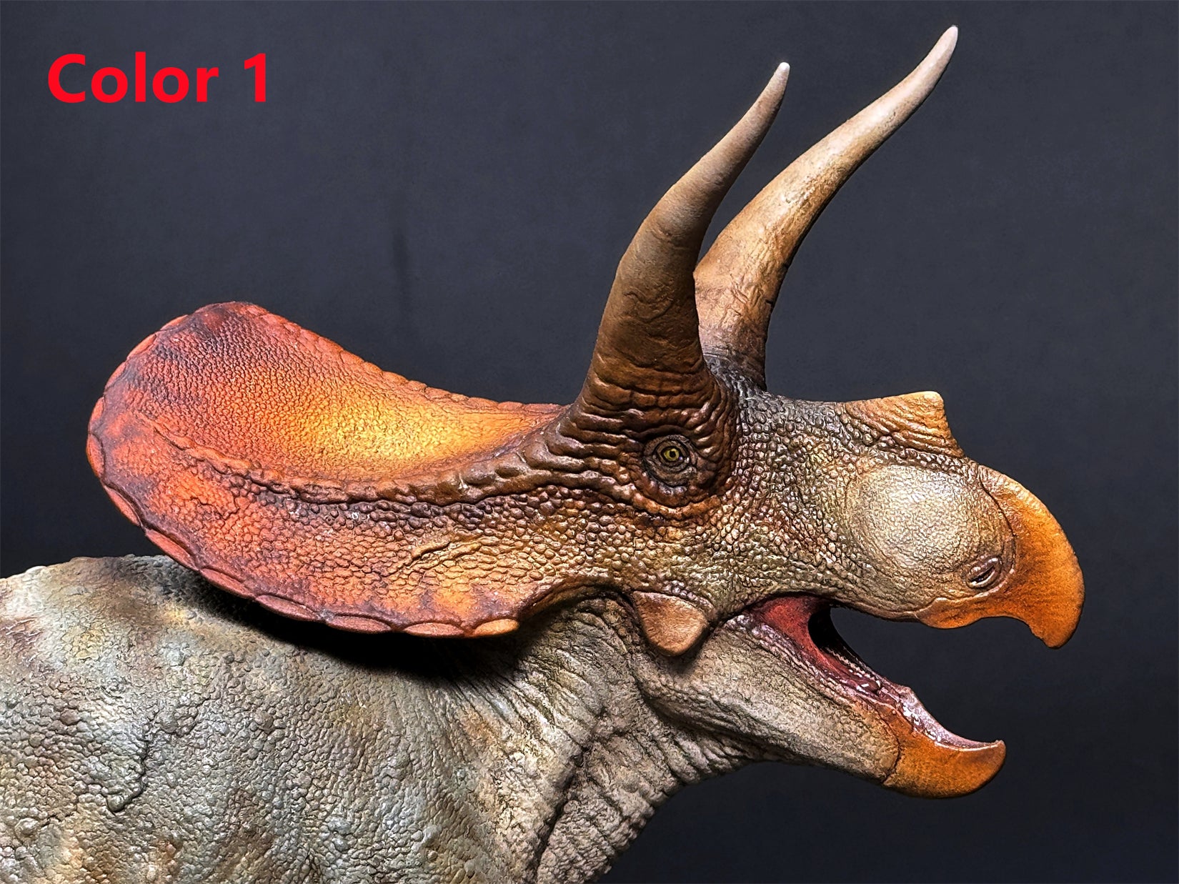 De CLAY Studio Torosaurus latus 2.0 Model