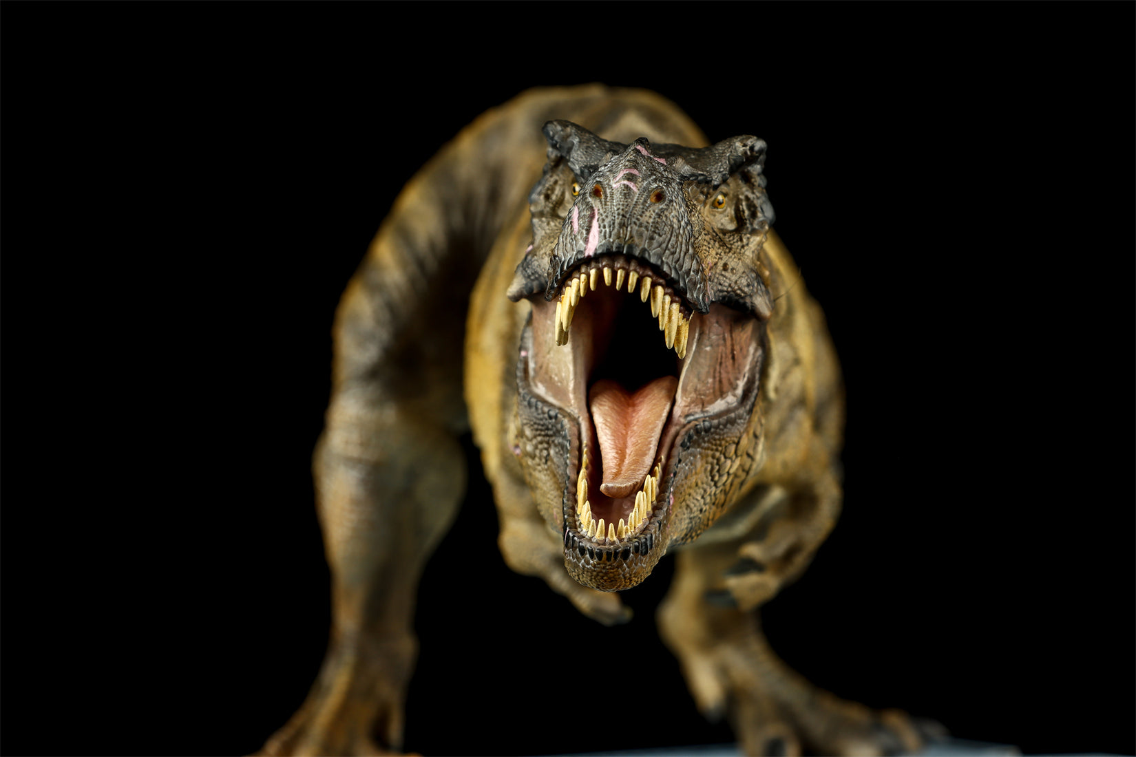 DINO DREAM 1:30 Scale JW4 Tyrannosaurus Rex Model