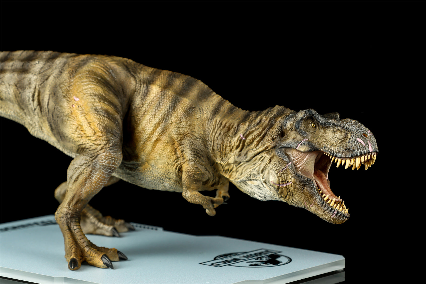 DINO DREAM 1:30 Scale JW4 Tyrannosaurus Rex Model