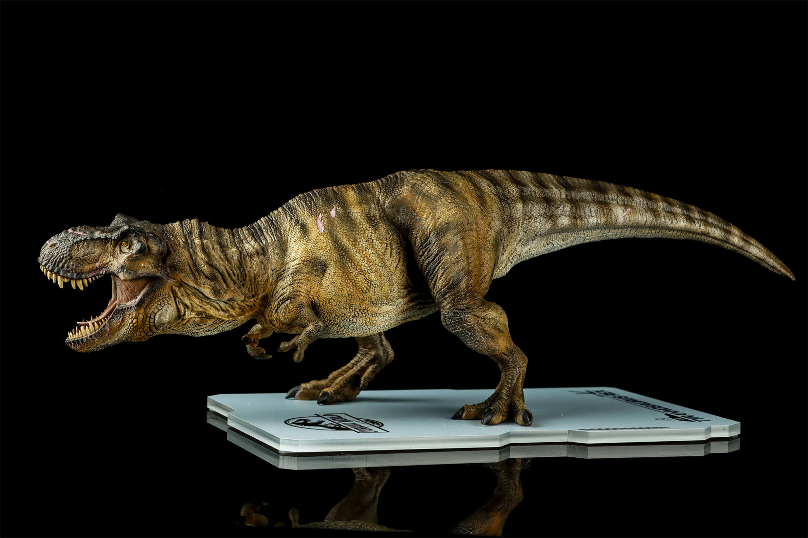 DINO DREAM 1:30 Scale JW4 Tyrannosaurus Rex Model