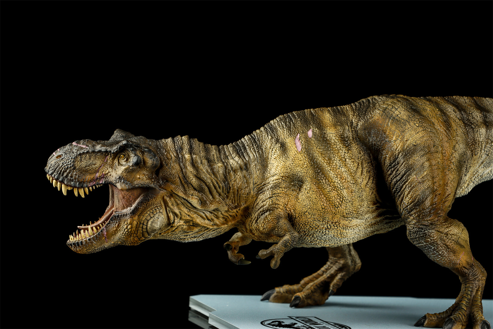 DINO DREAM 1:30 Scale JW4 Tyrannosaurus Rex Model