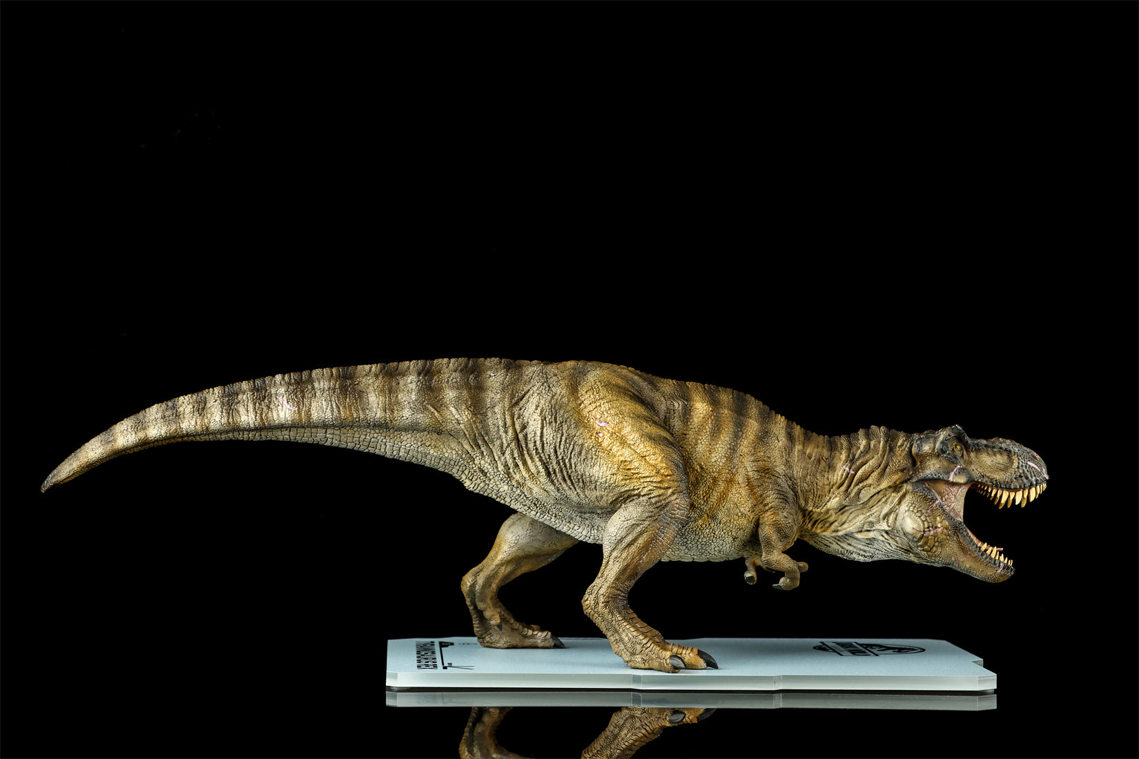 DINO DREAM 1:30 Scale JW4 Tyrannosaurus Rex Model