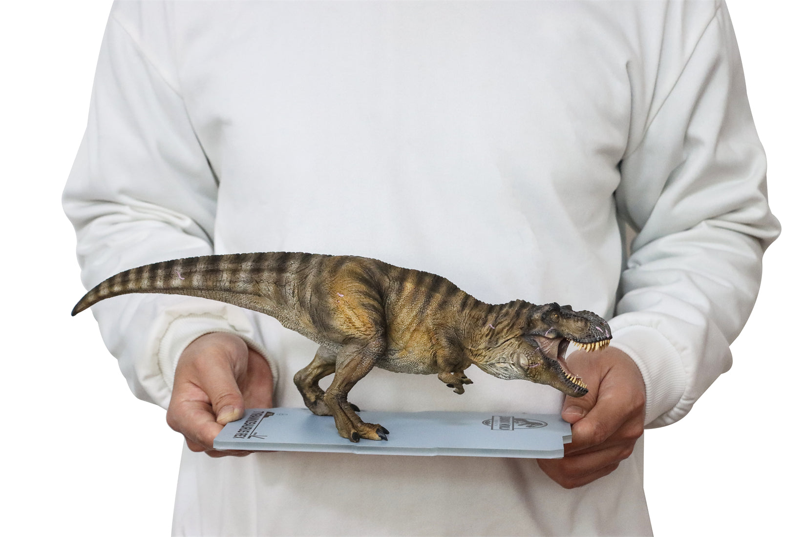 DINO DREAM 1:30 Scale JW4 Tyrannosaurus Rex Model