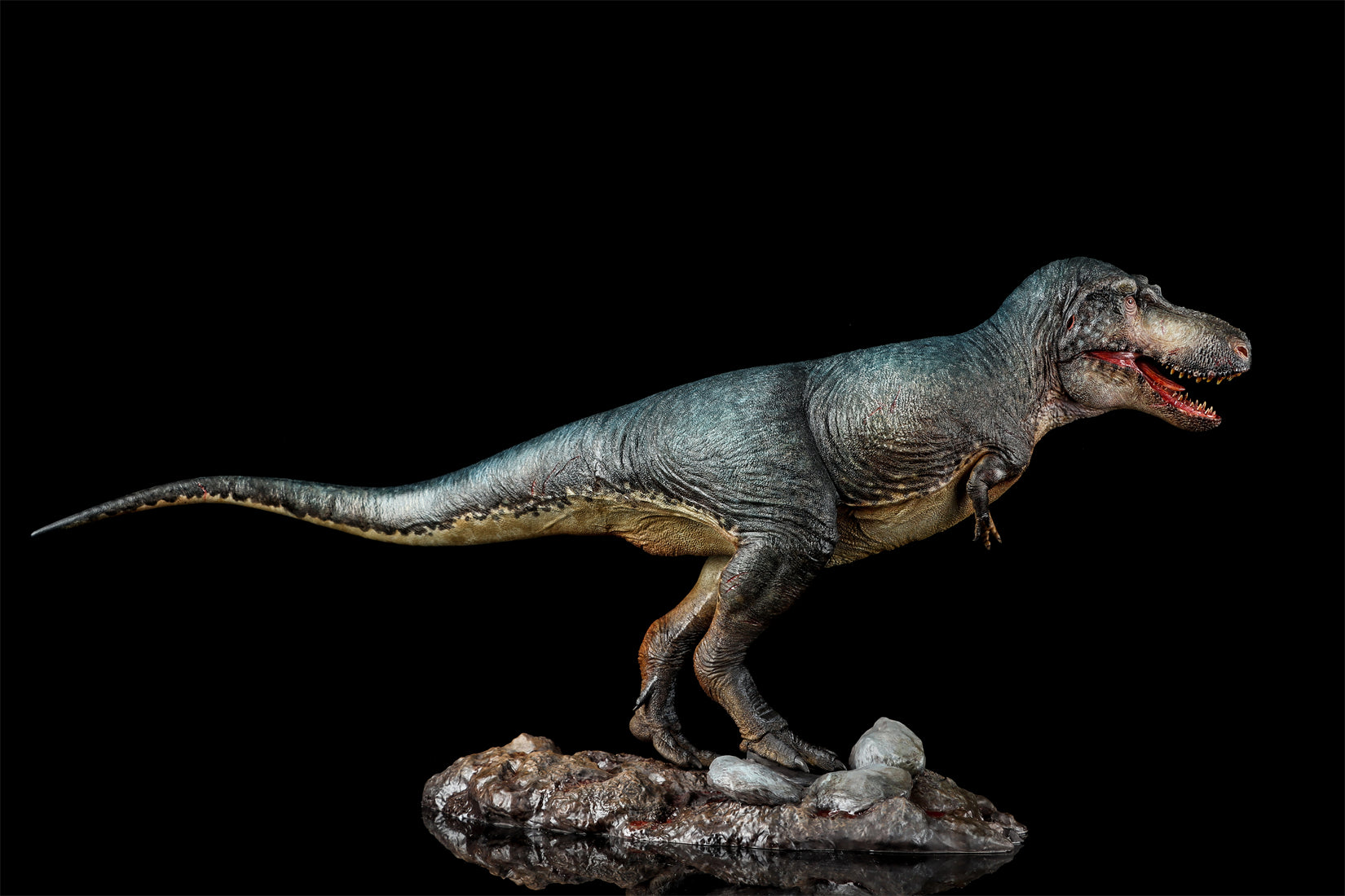 Zeta Studio Montana Tyrannosaurus Rex Model