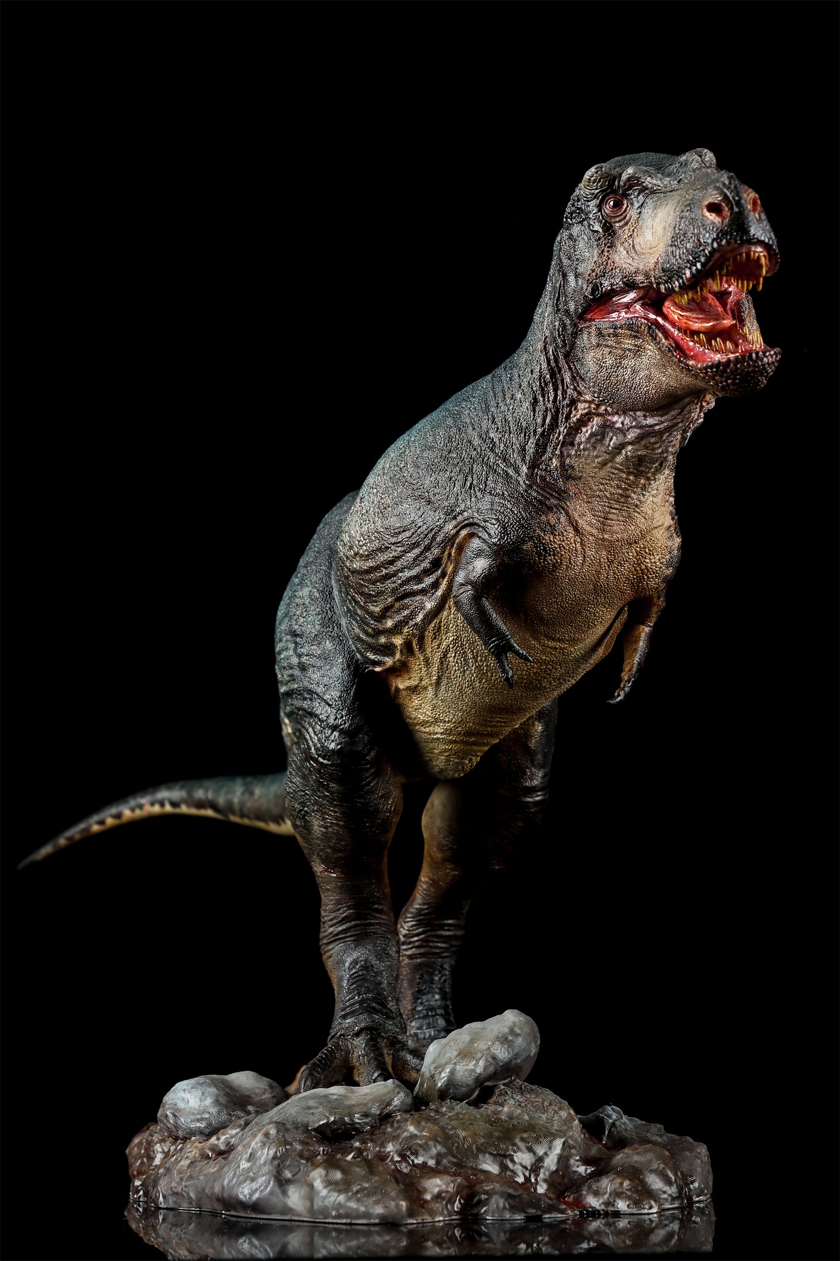 Zeta Studio Montana Tyrannosaurus Rex Model