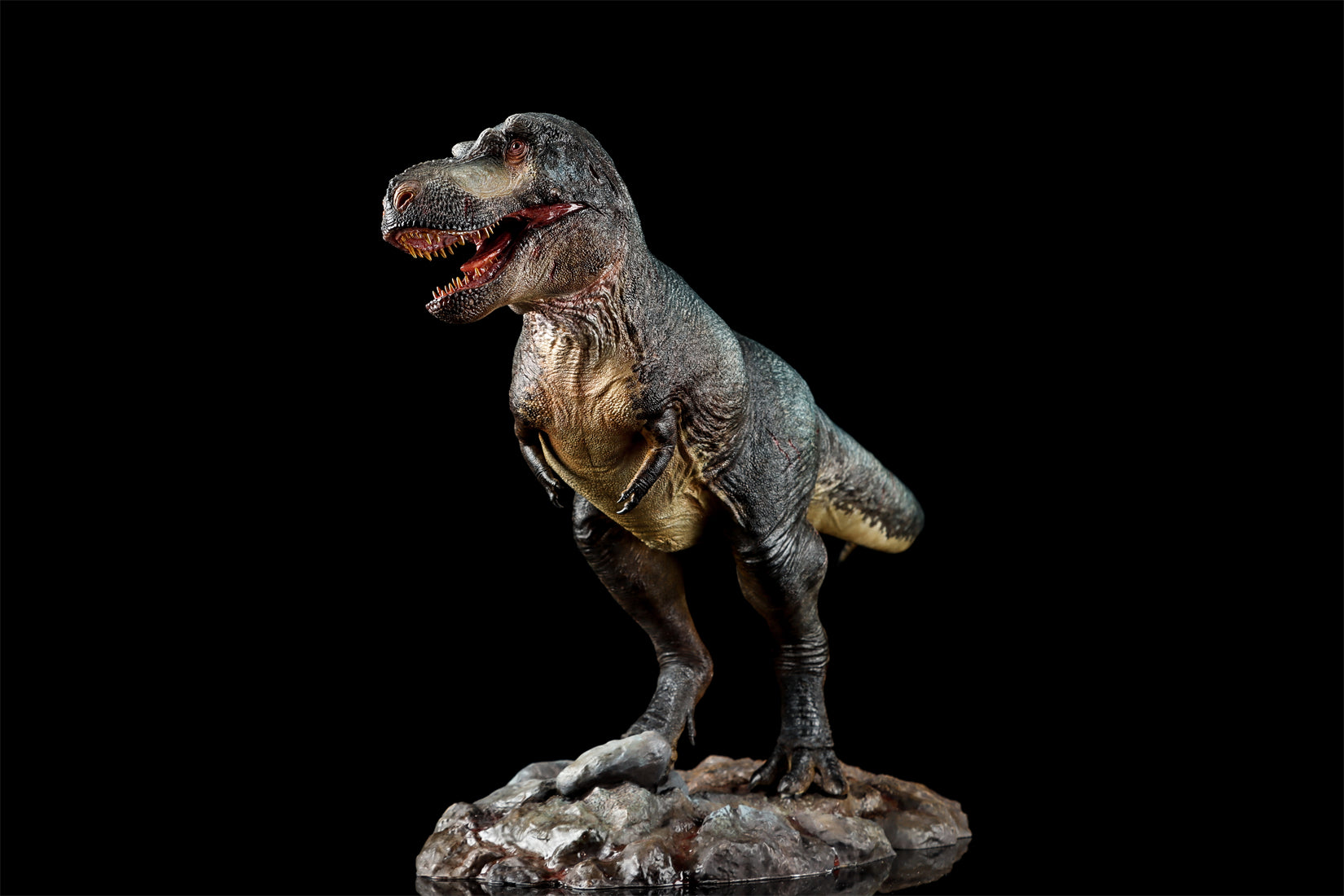 Zeta Studio Montana Tyrannosaurus Rex Model