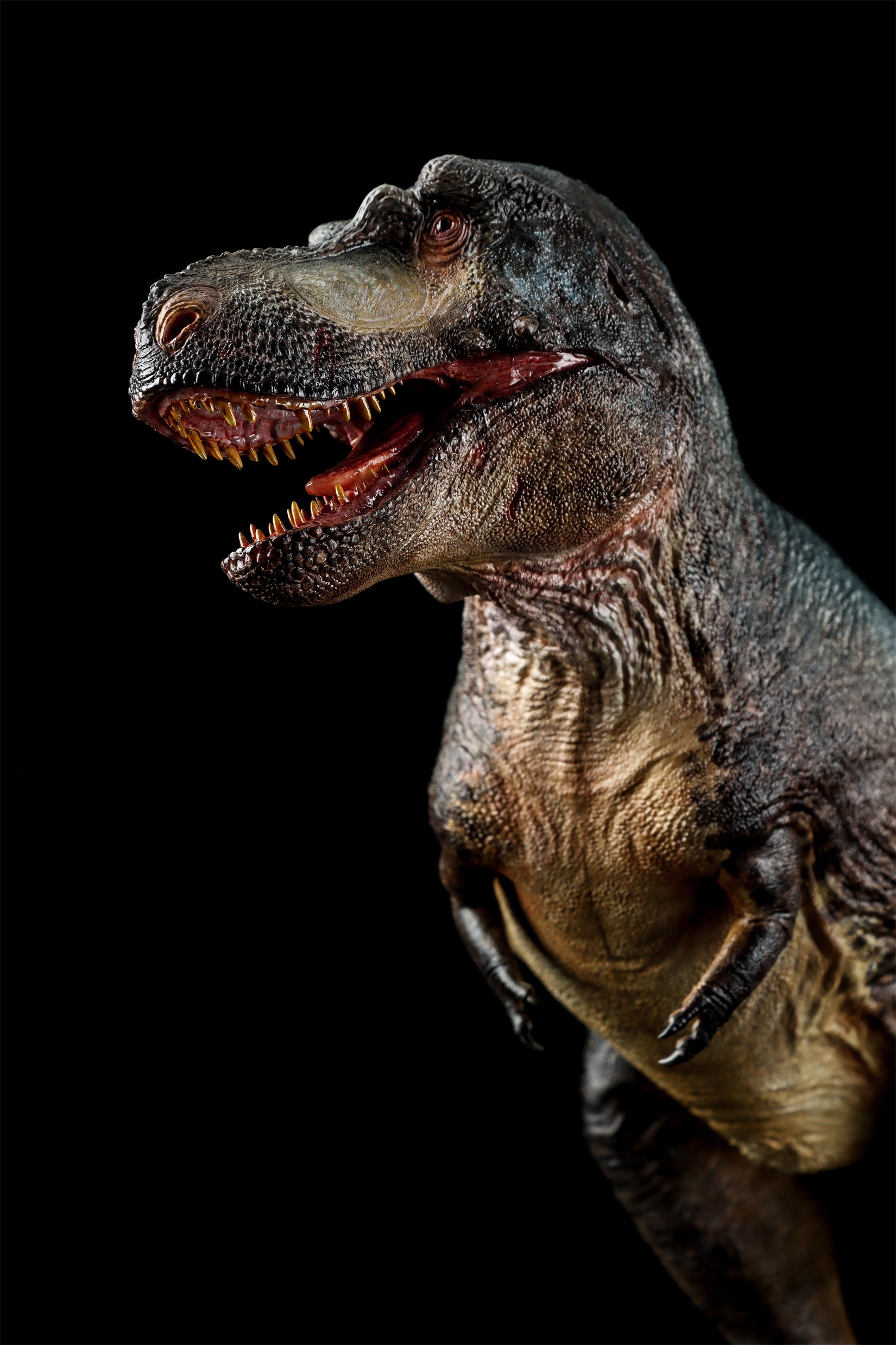 Zeta Studio Montana Tyrannosaurus Rex Model