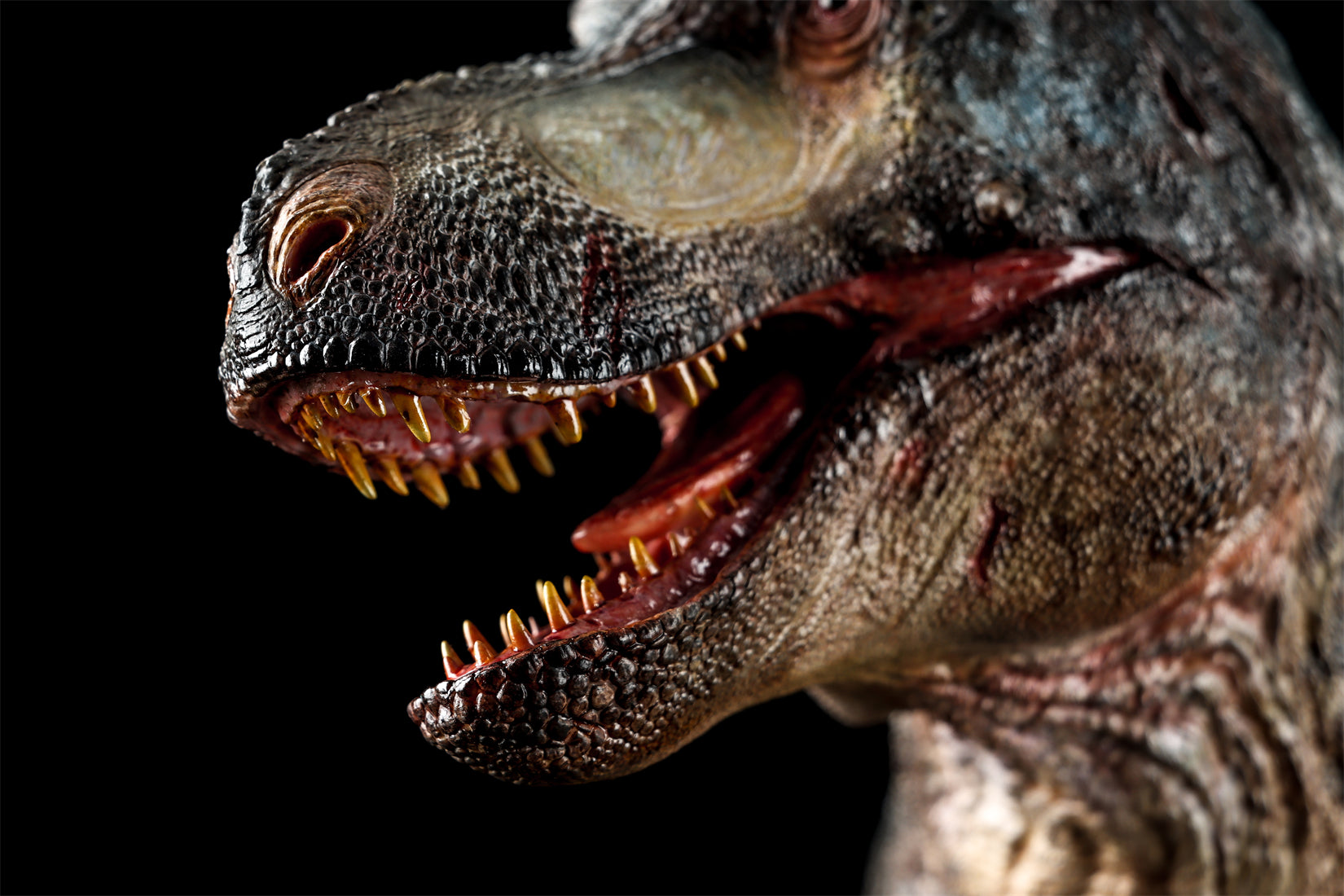 Zeta Studio Montana Tyrannosaurus Rex Model