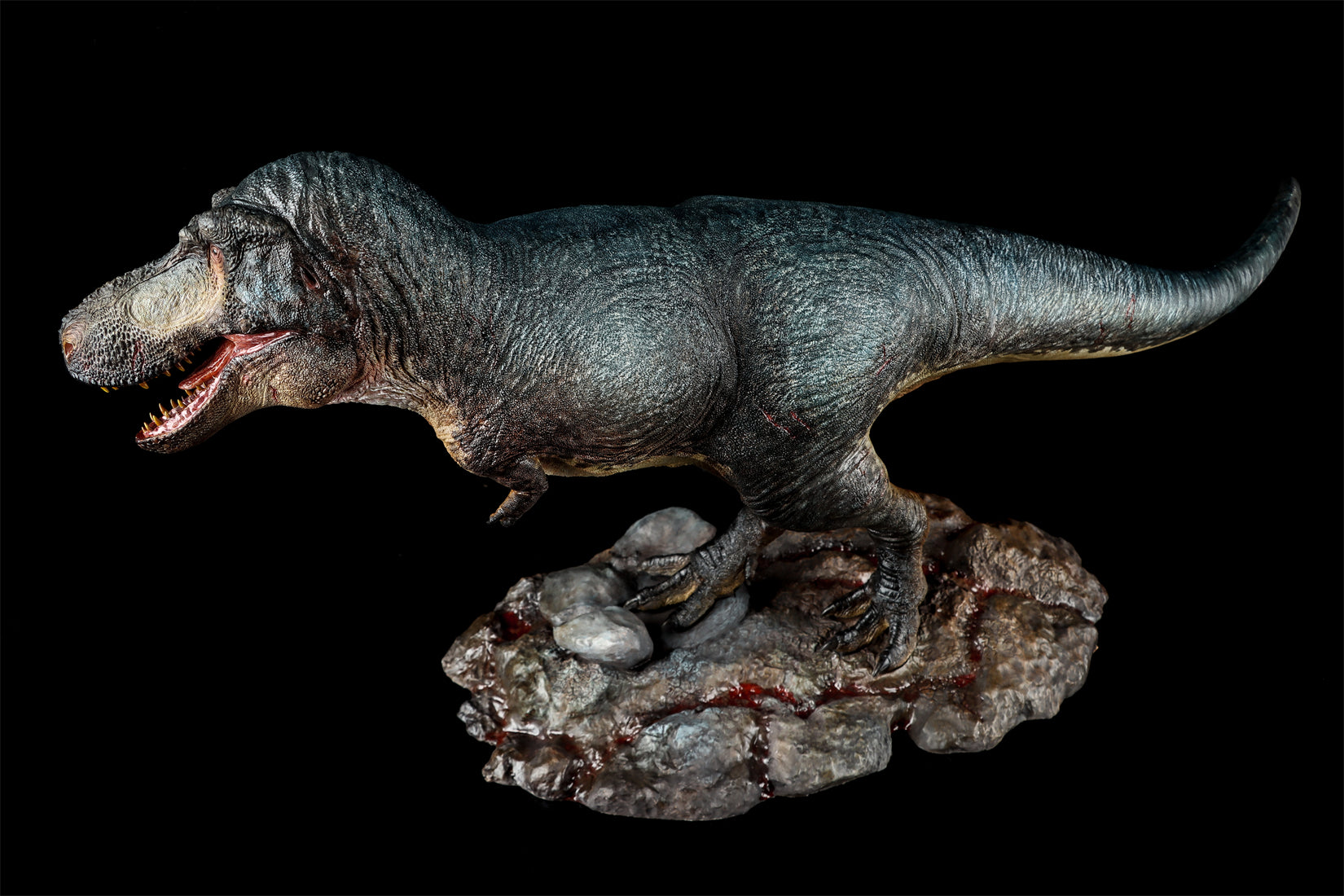 Zeta Studio Montana Tyrannosaurus Rex Model