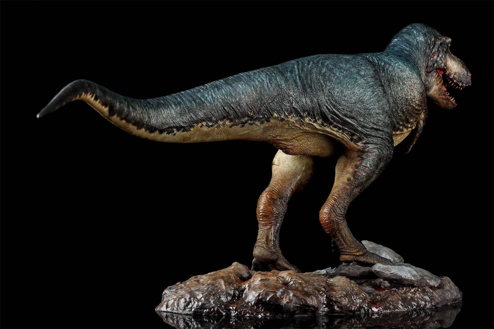 Zeta Studio Montana Tyrannosaurus Rex Model